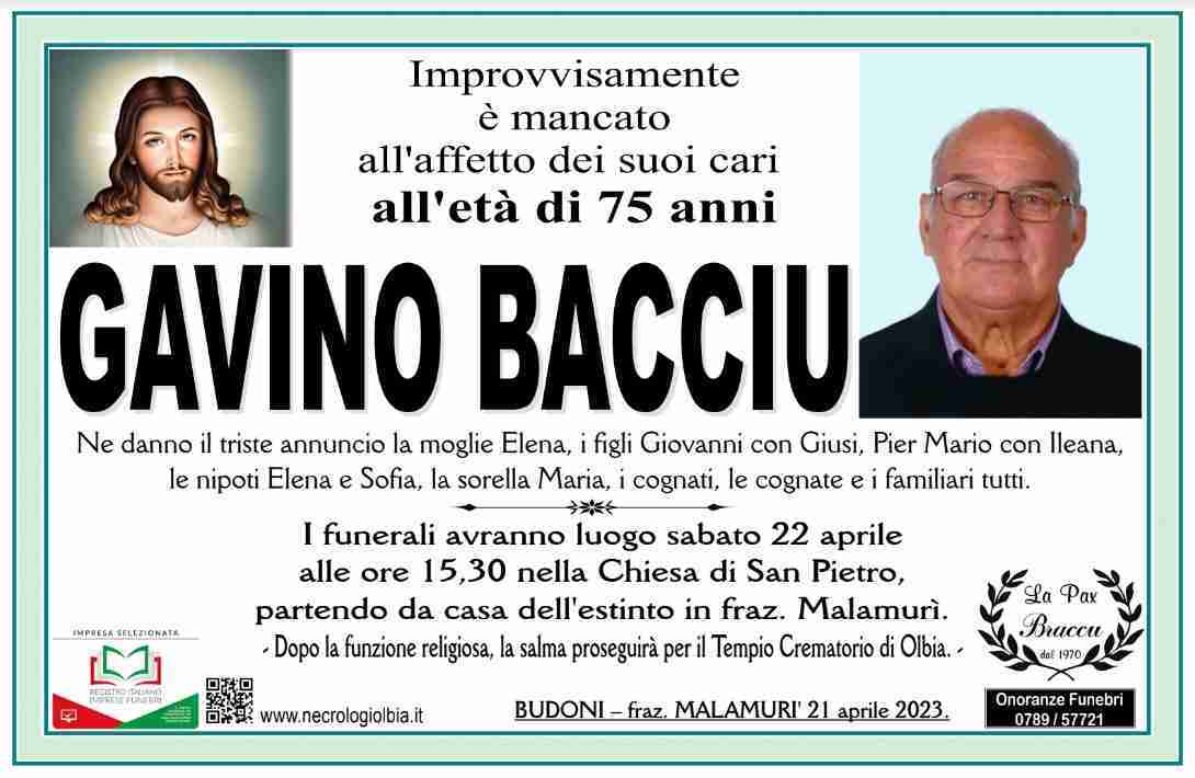 Gavino Bacciu