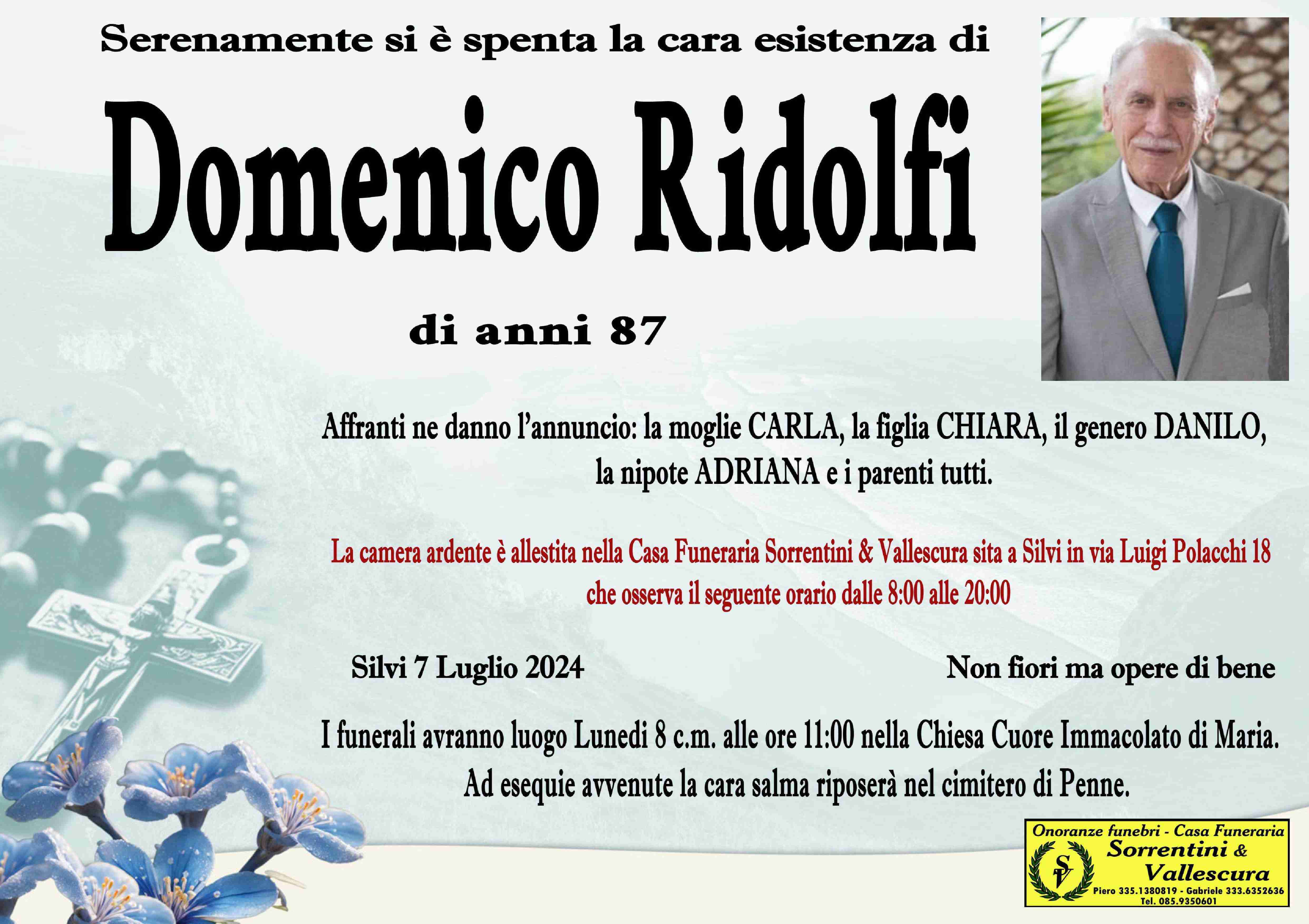 Domenico Ridolfi