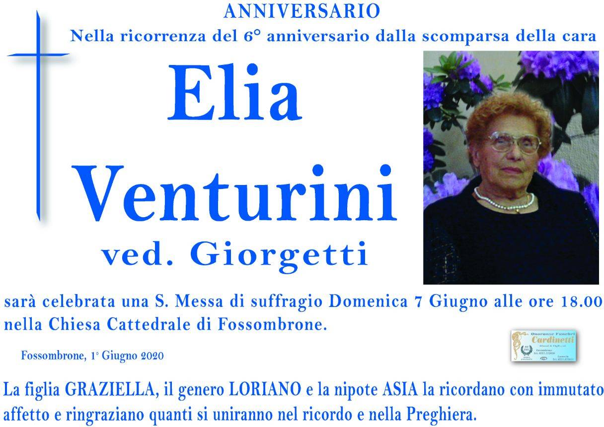 Elia Venturini