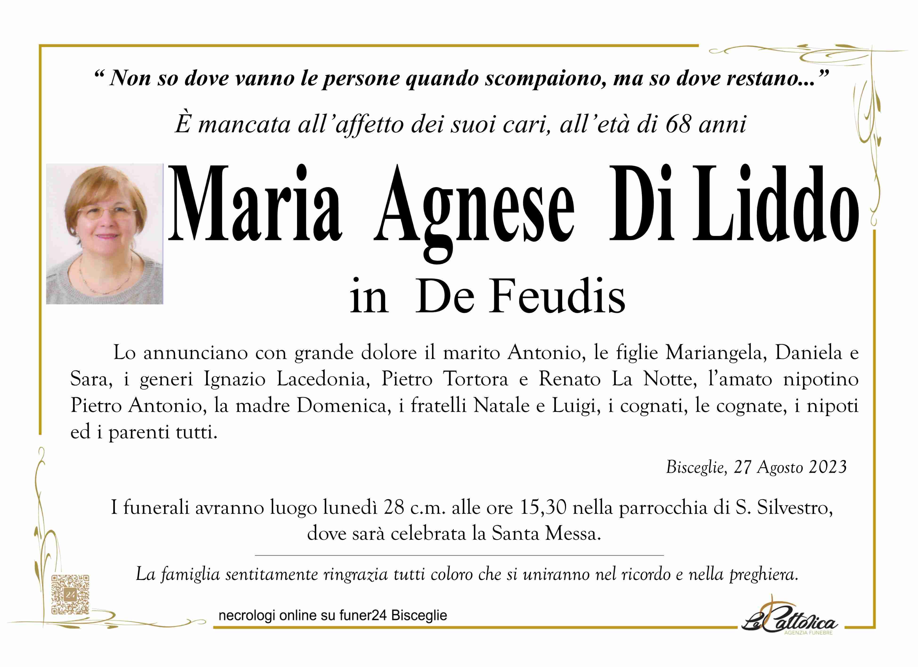 Maria Agnese Di Liddo