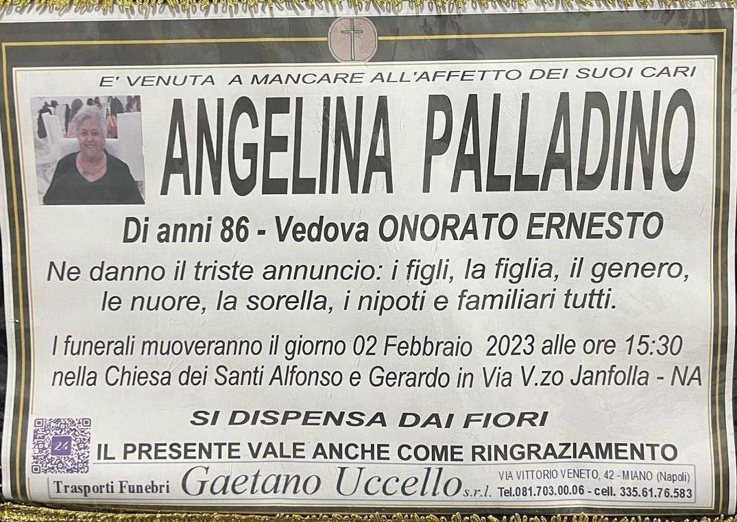 Angelina Palladino