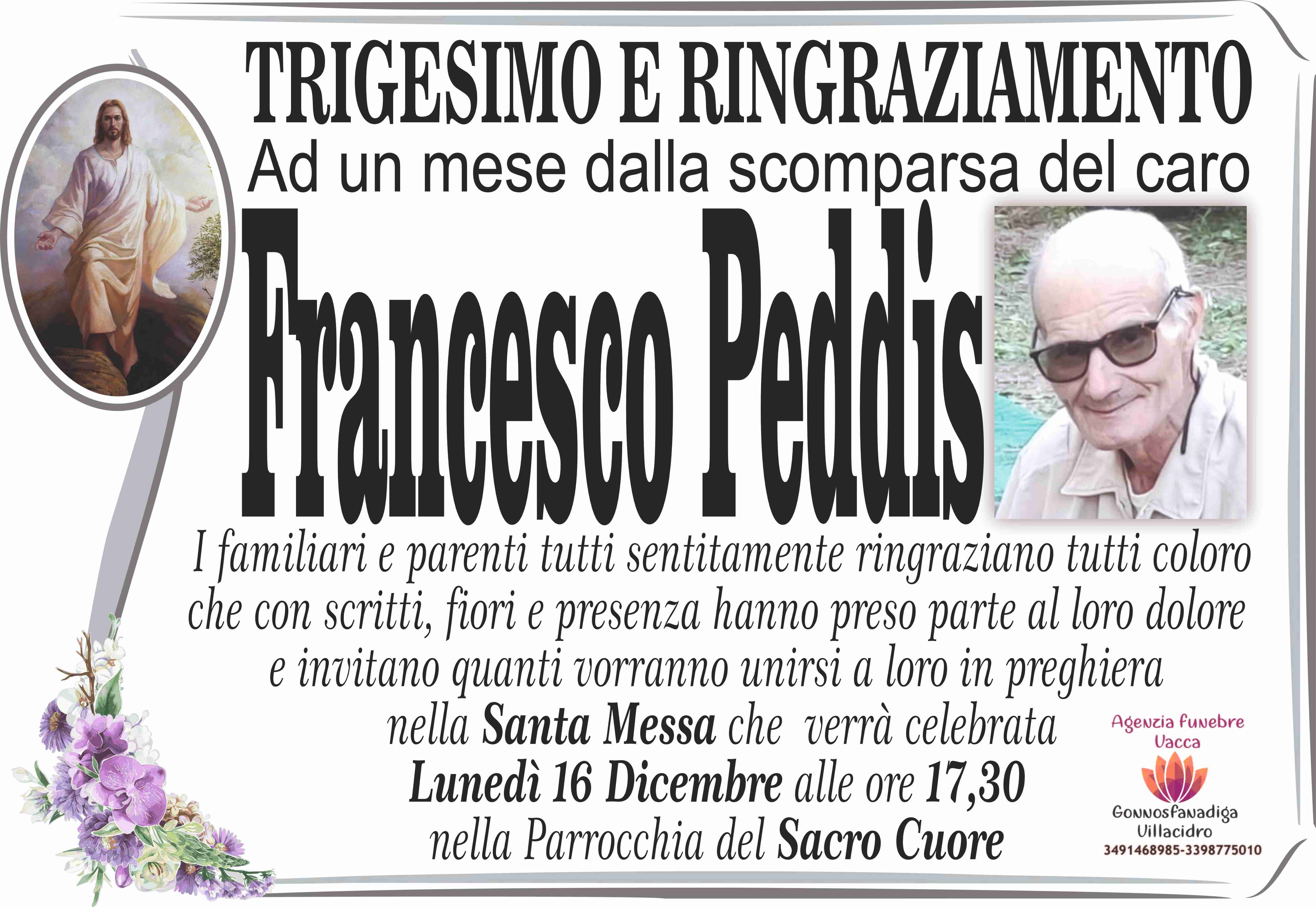 Francesco Peddis