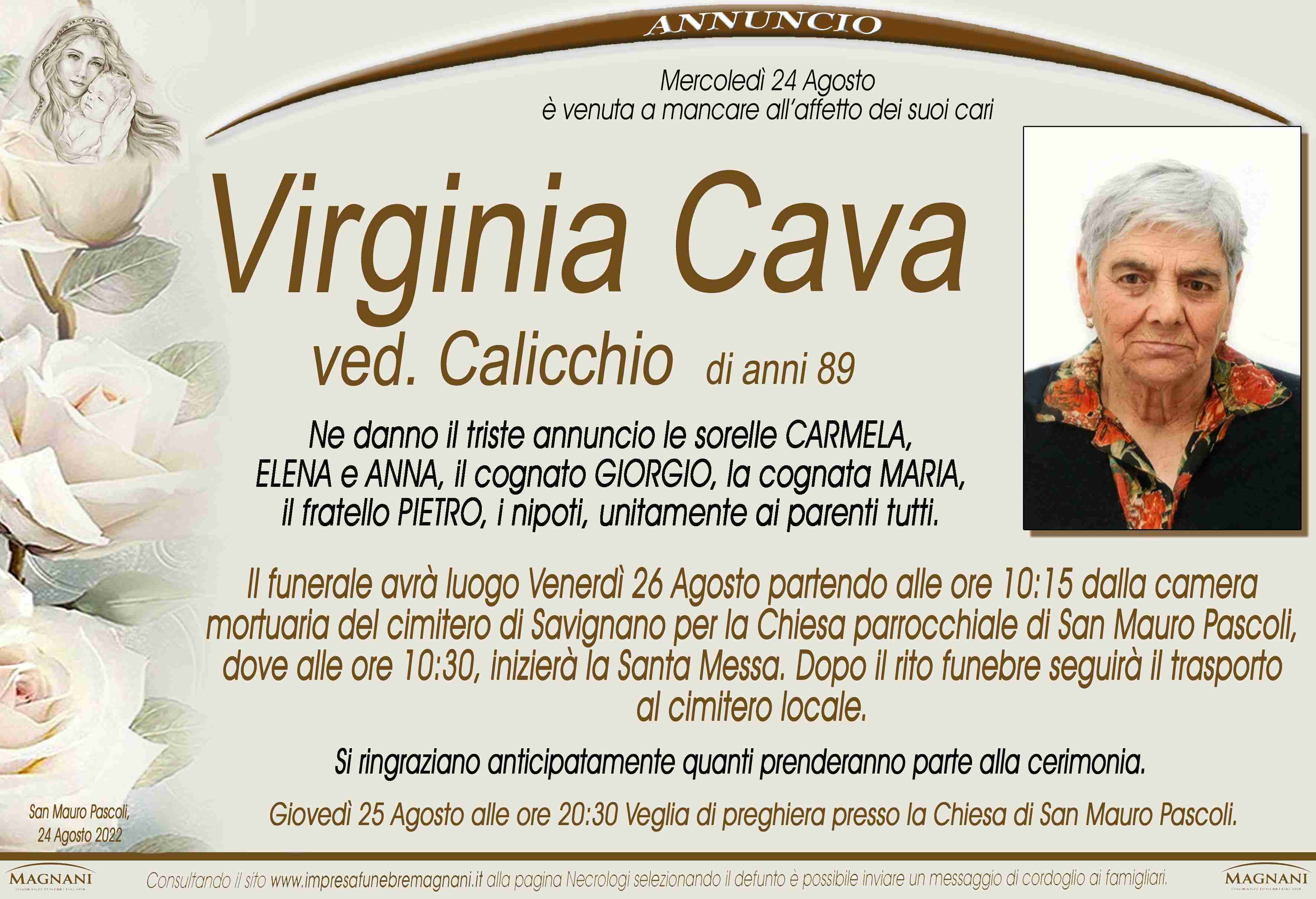 Virginia Cava