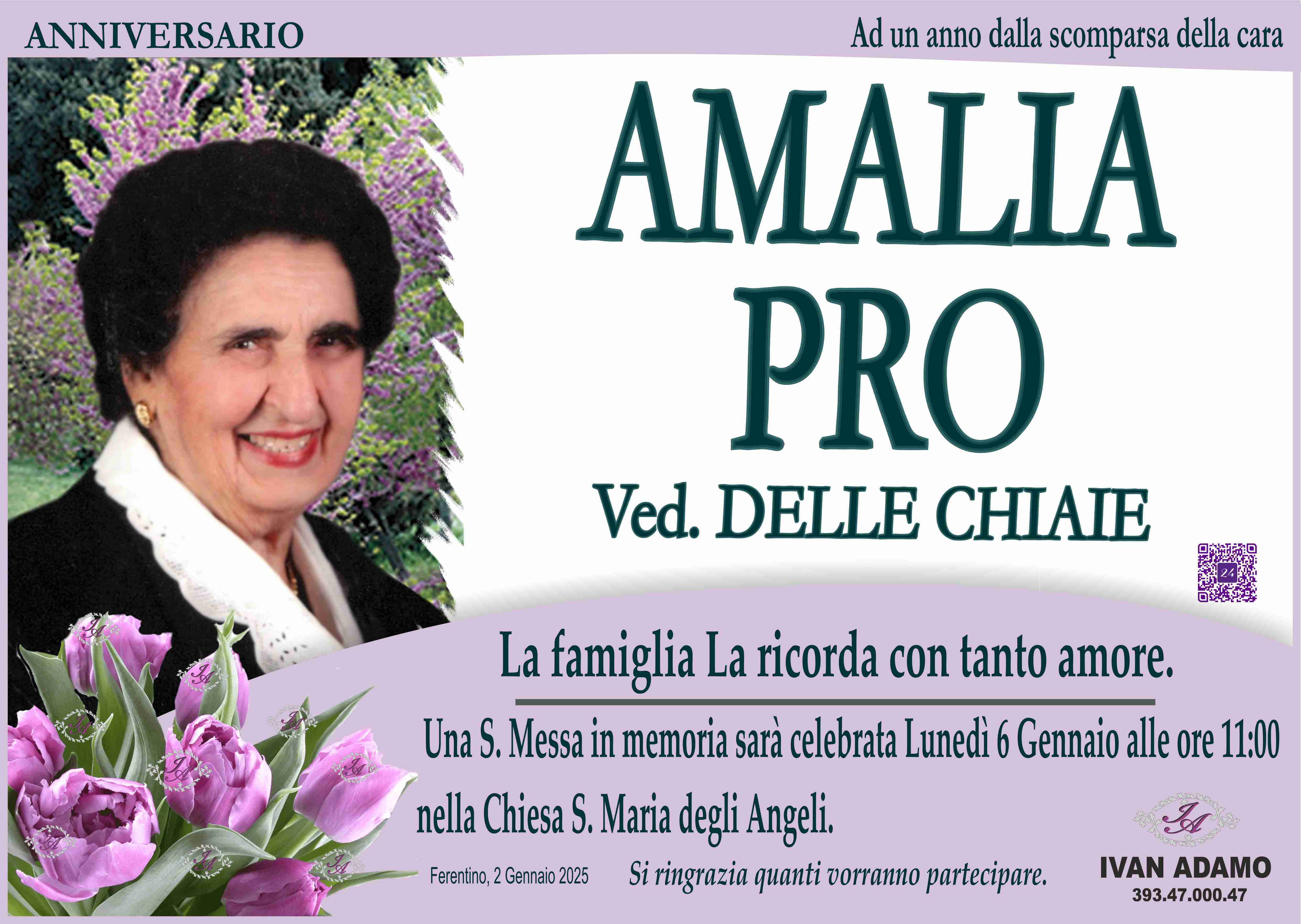 Amalia Pro