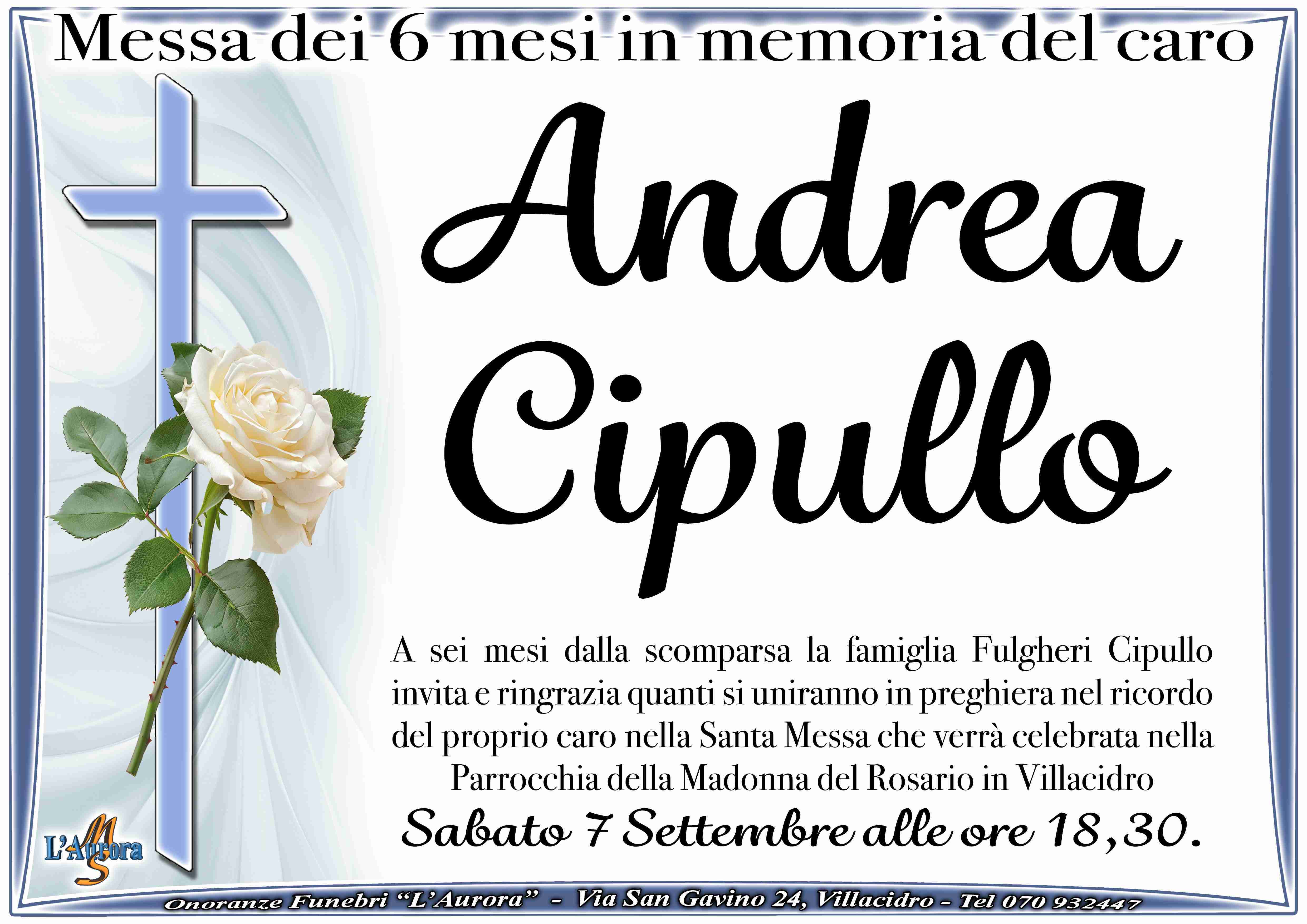 Andrea Cipullo