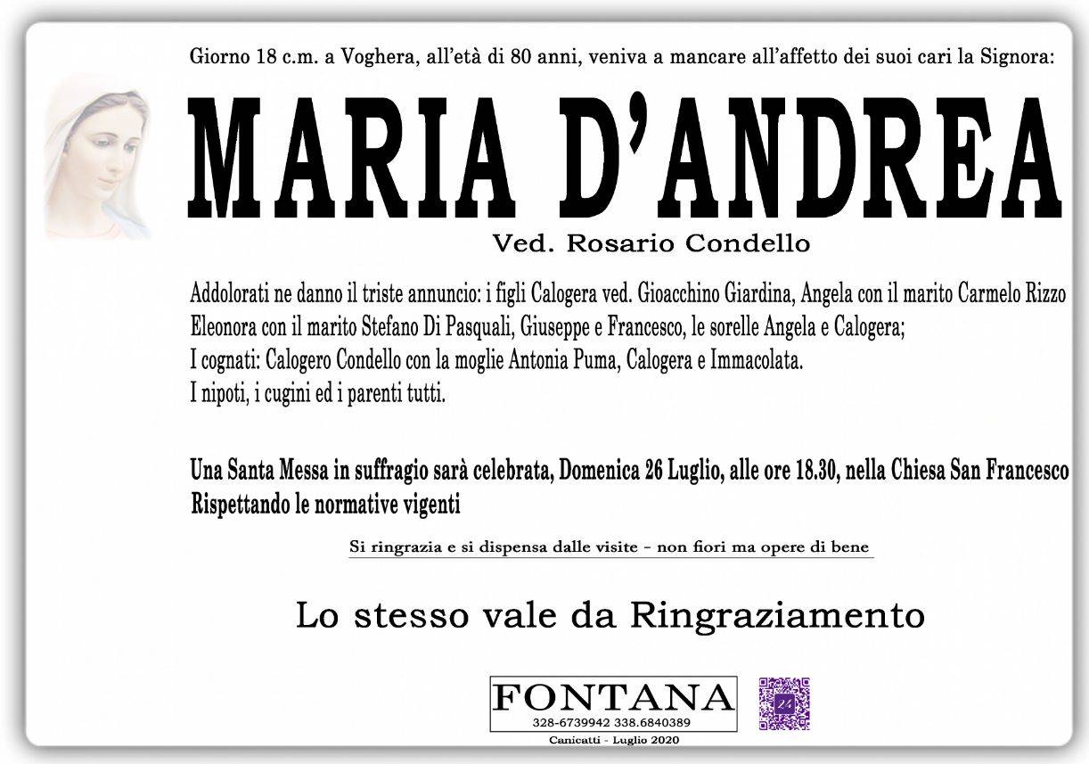 Maria D'Andrea