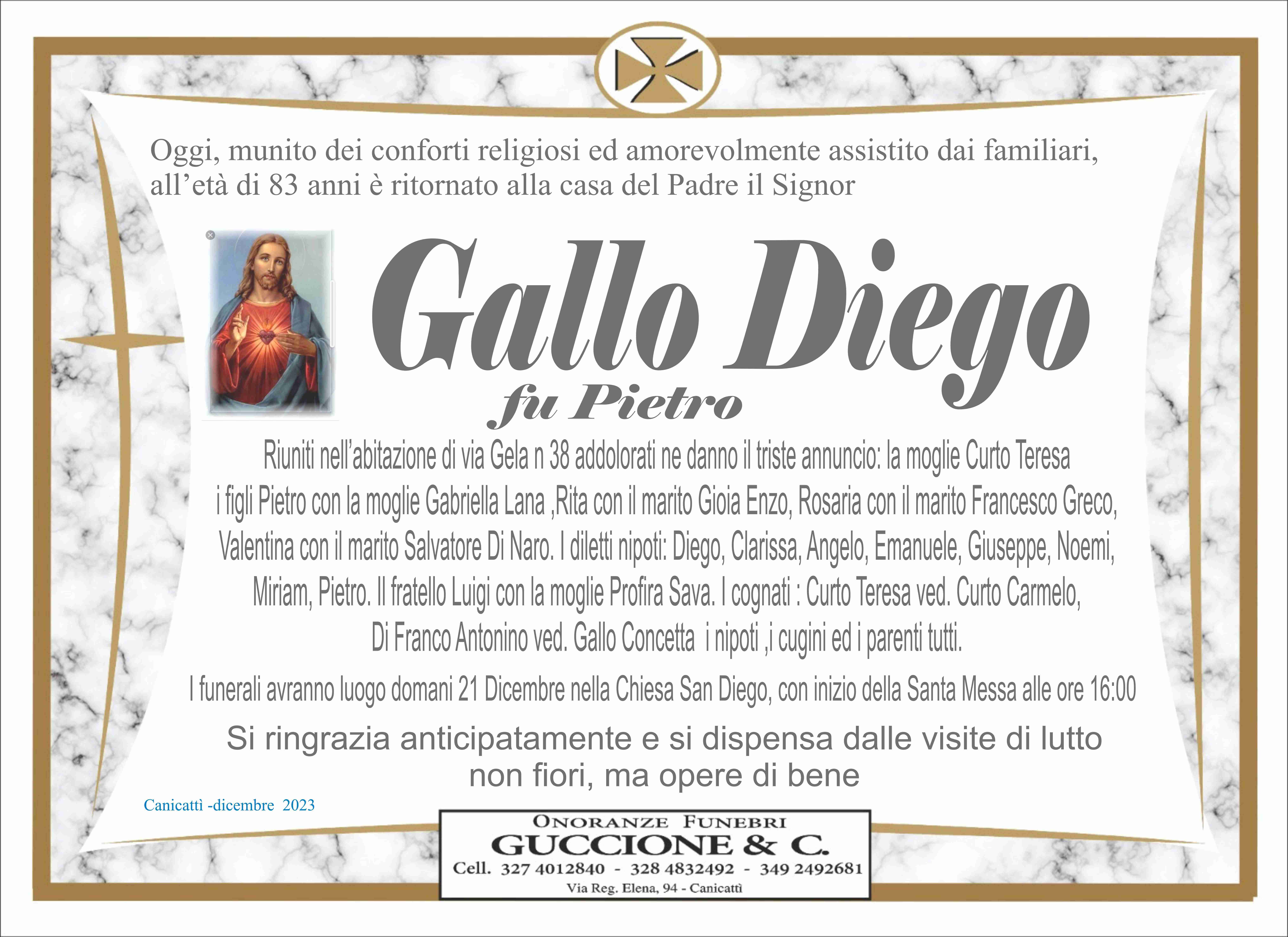 Gallo Diego