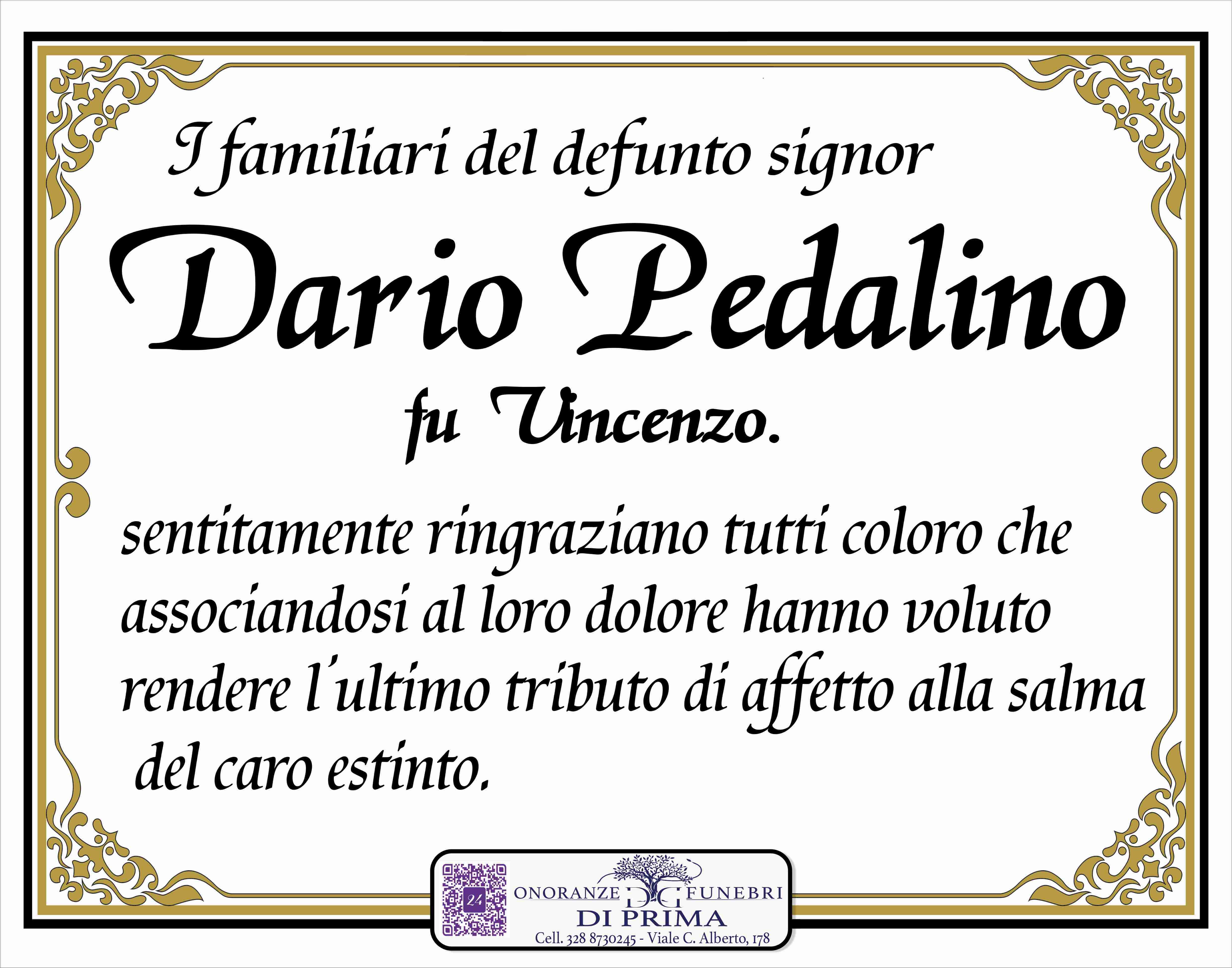 Dario Valerio Pedalino
