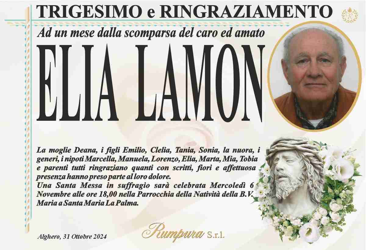 Elia Lamon