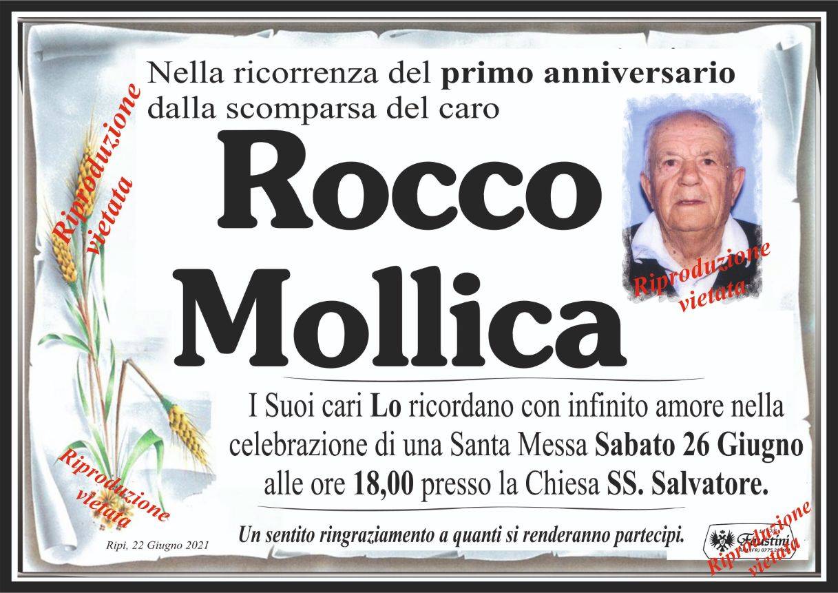 Rocco Mollica