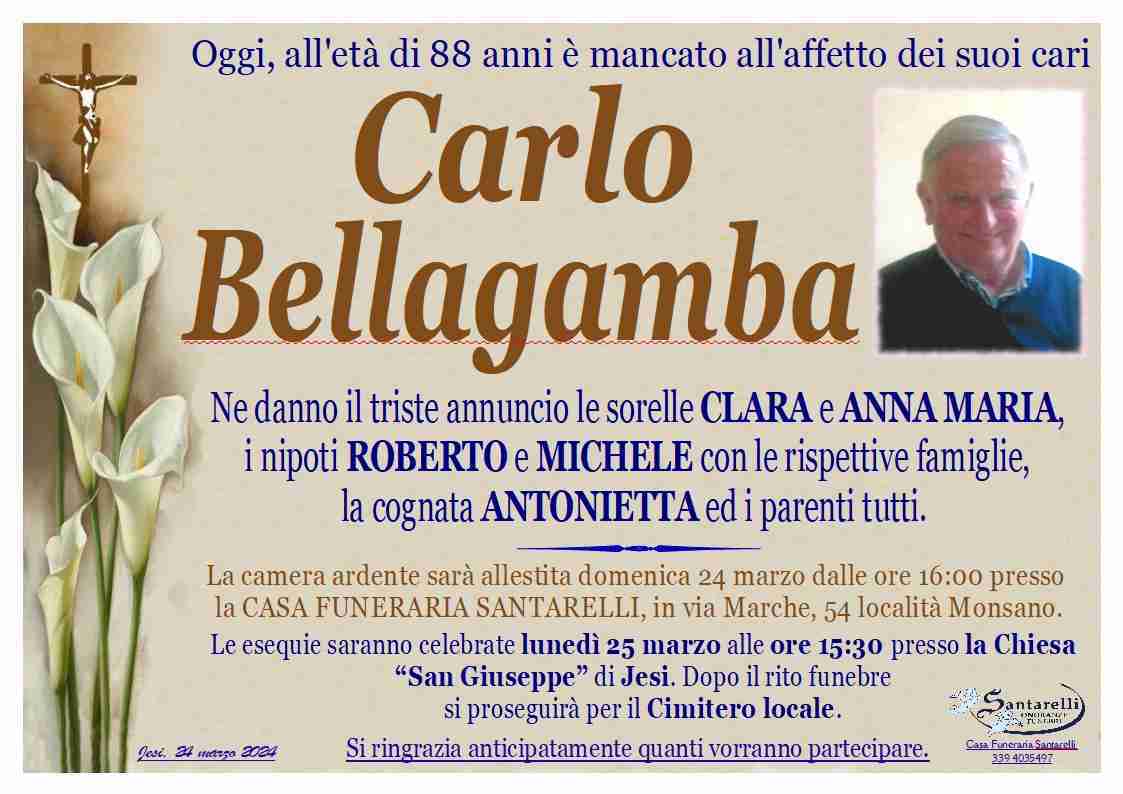 Carlo Bellagamba