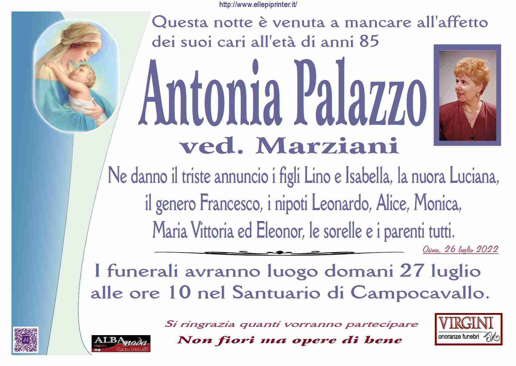 Antonia Palazzo