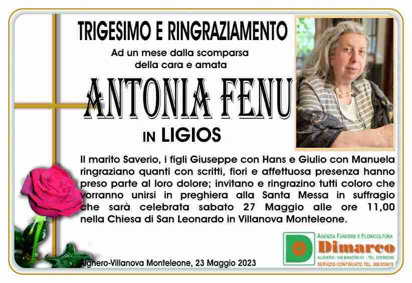 Antonia  Fenu