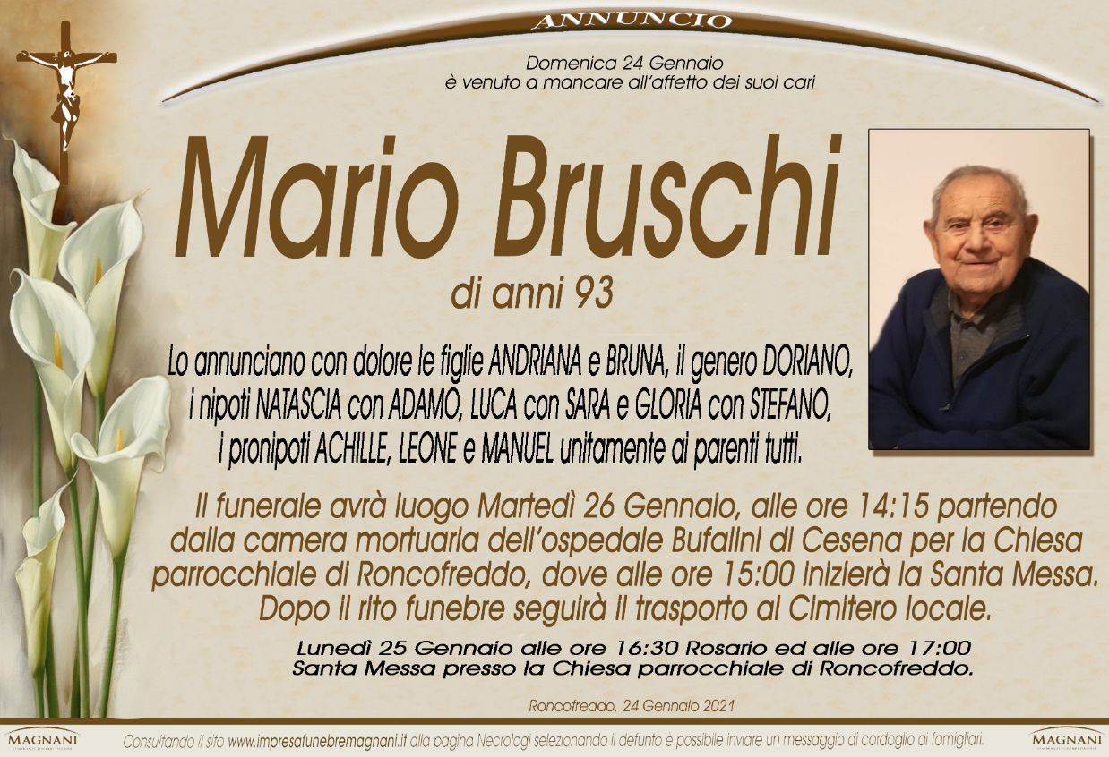 Mario Bruschi