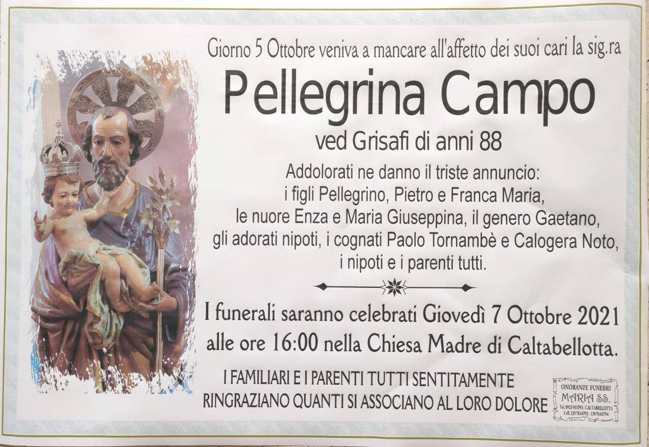 Pellegrina Campo