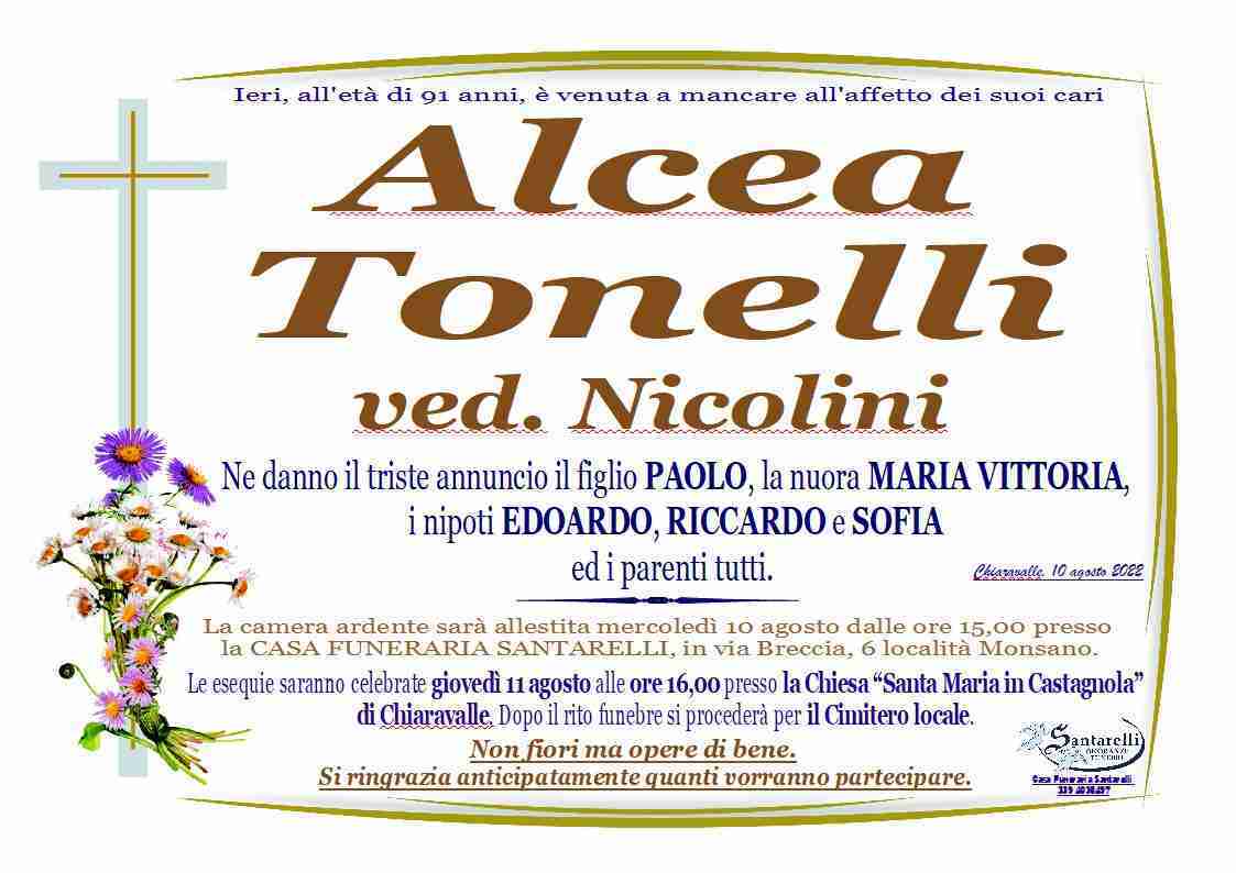 Alcea Tonelli