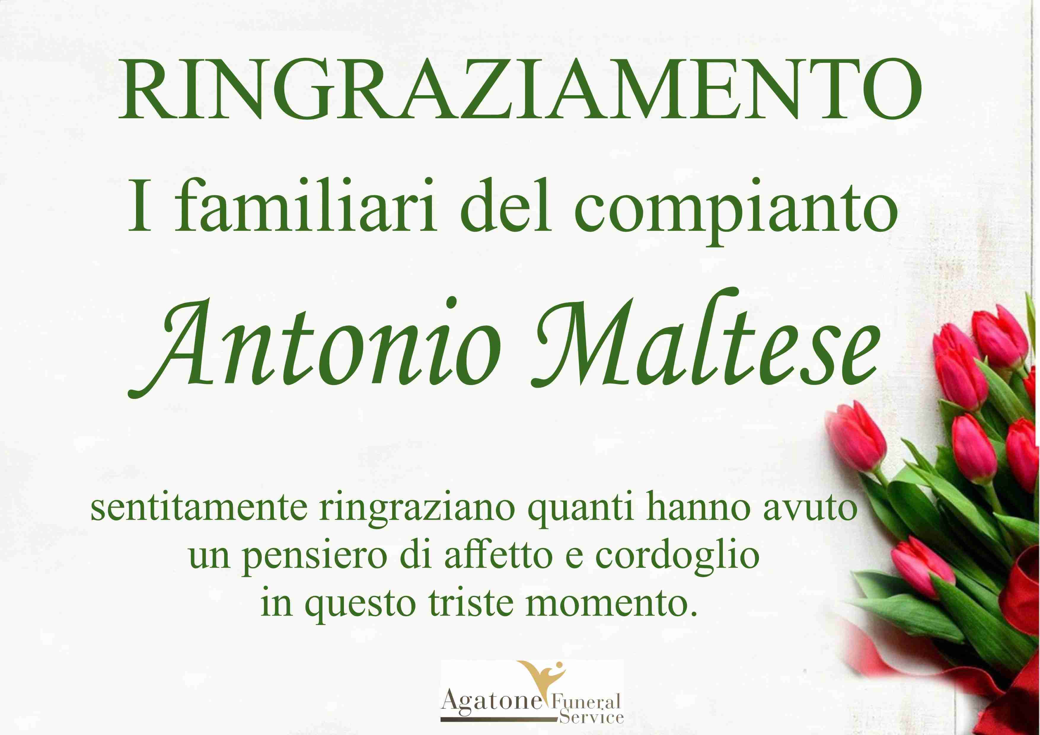Antonio Maltese