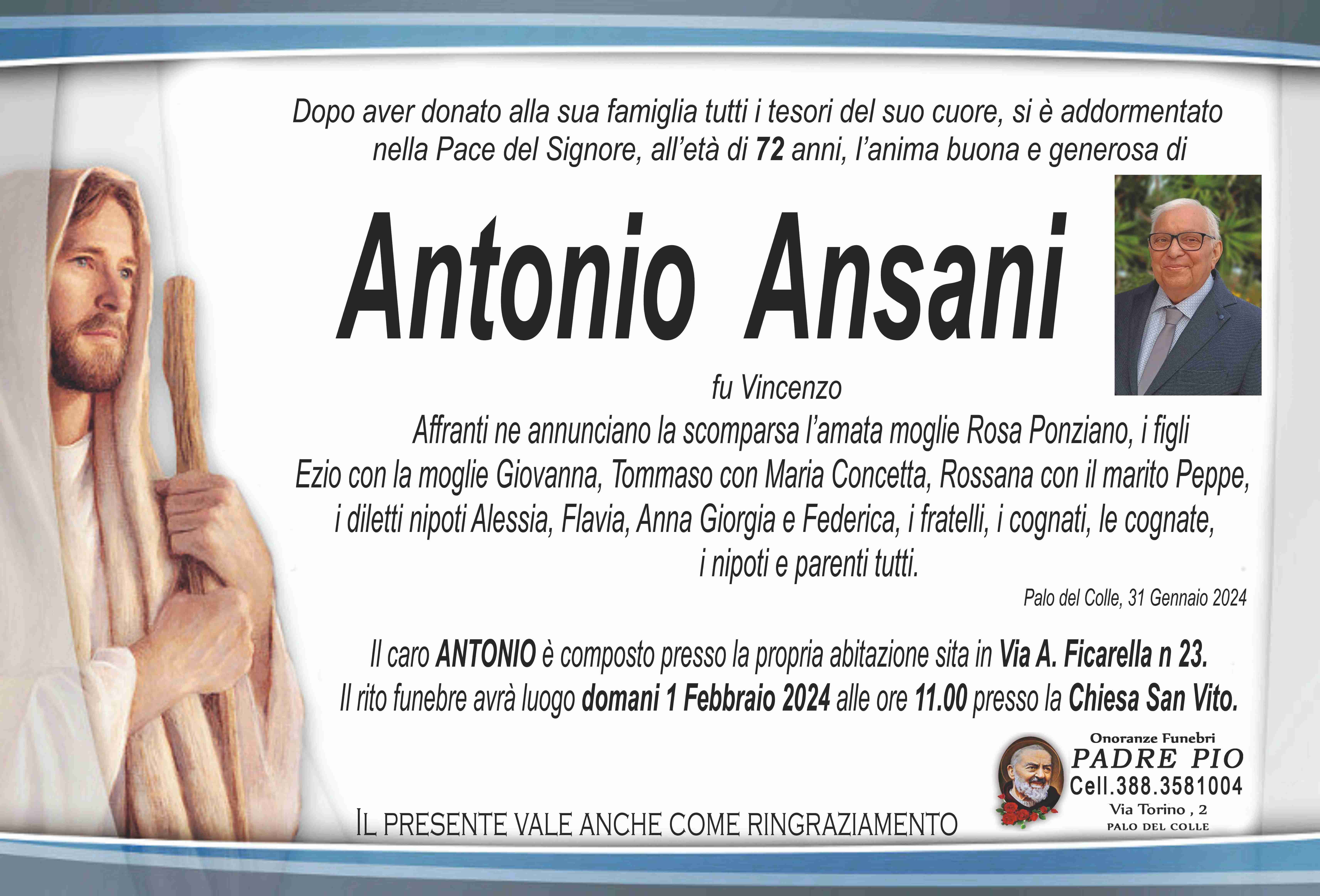 Antonio Ansani