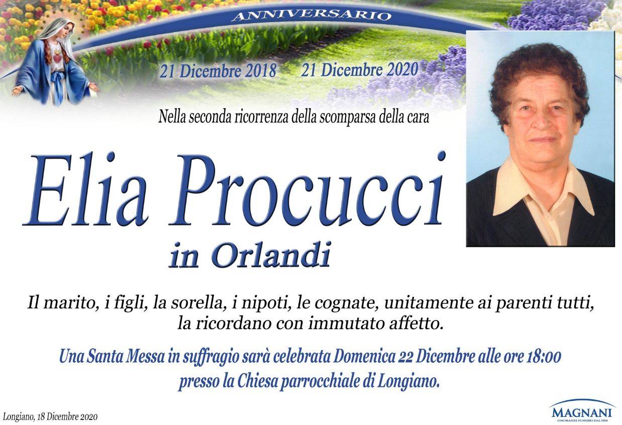 Elia Procucci