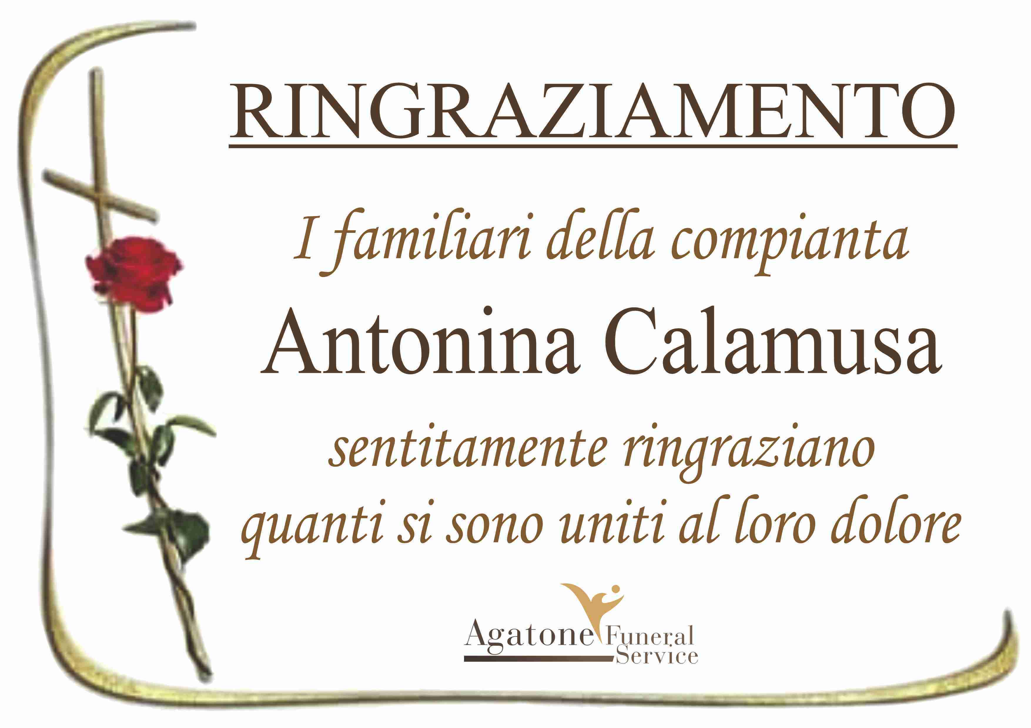 Antonina Calamusa
