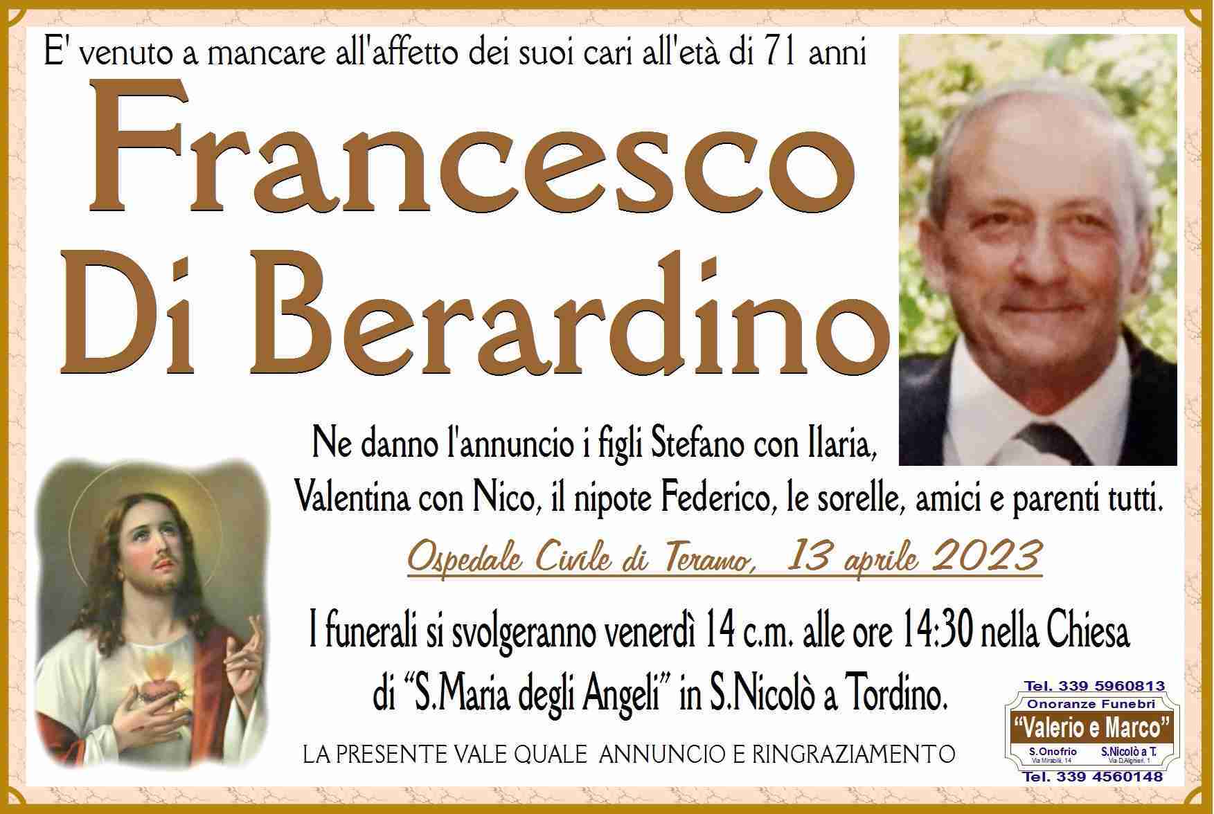 Francesco Di Berardino