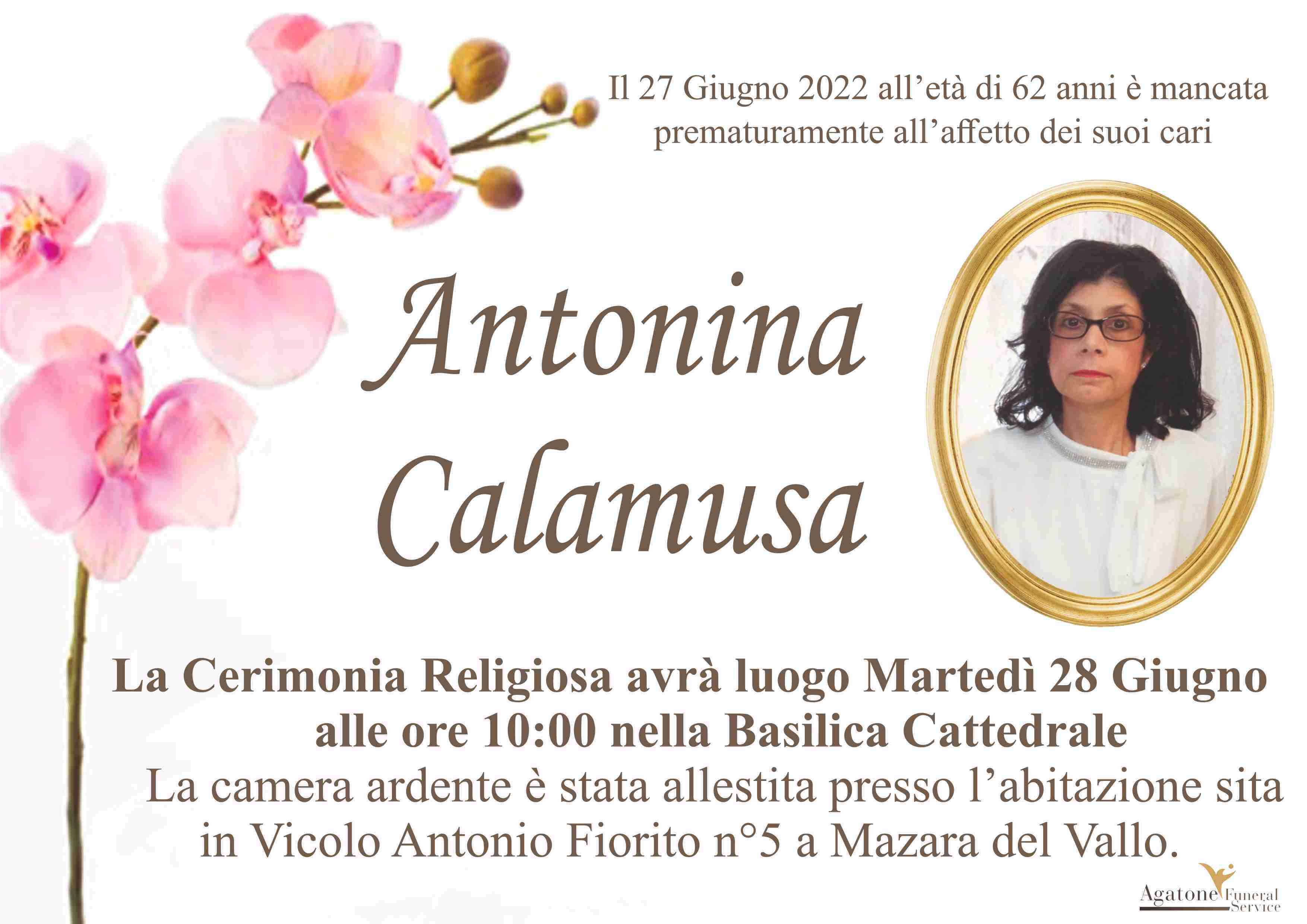 Antonina Calamusa