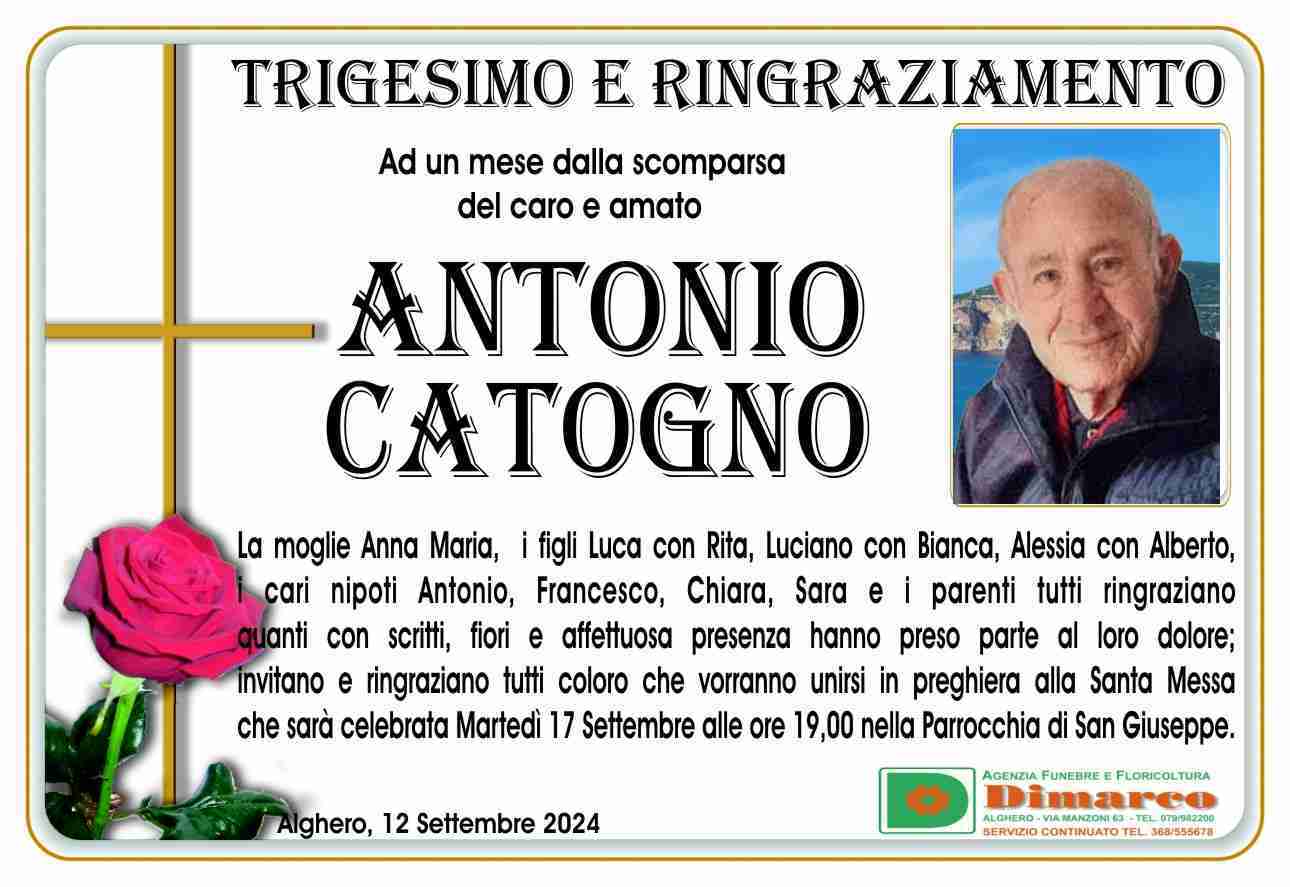 Antonio Catogno