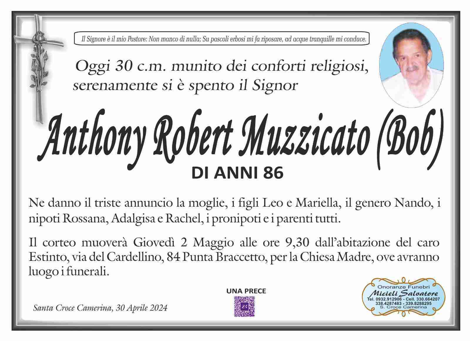 Anthony Robert Muzzicato (Bob)
