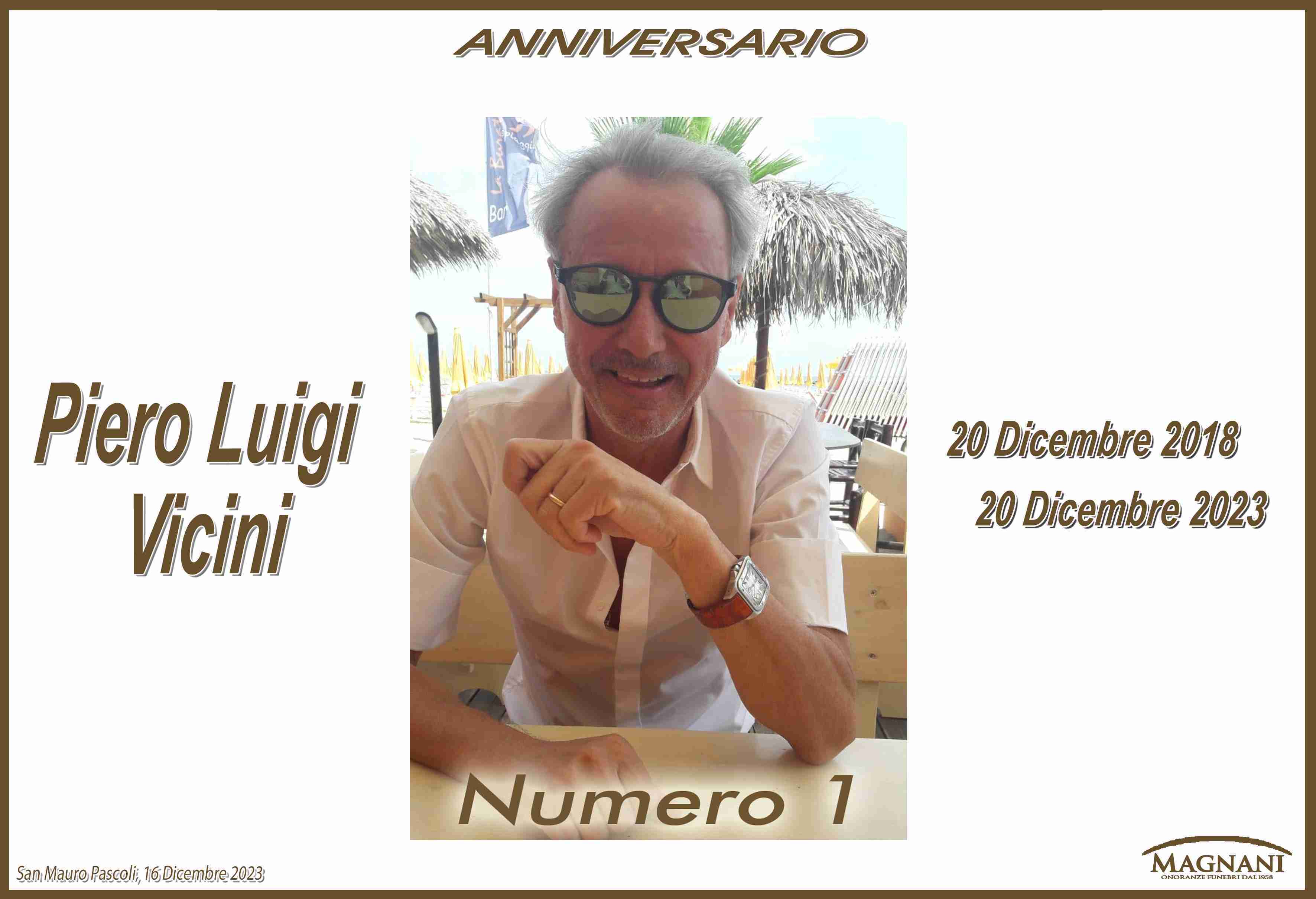 Piero Luigi Vicini