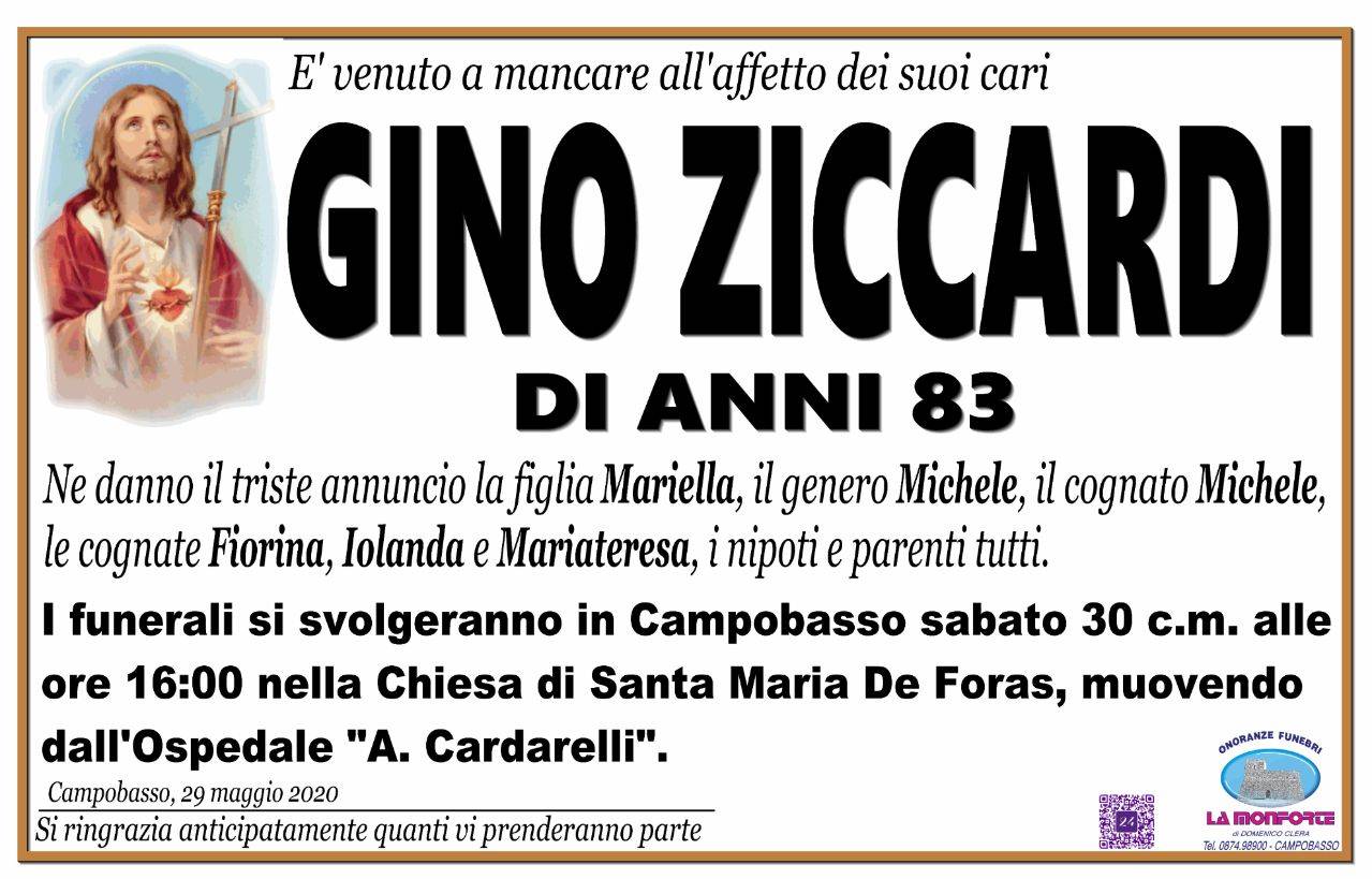 Gino Ziccardi