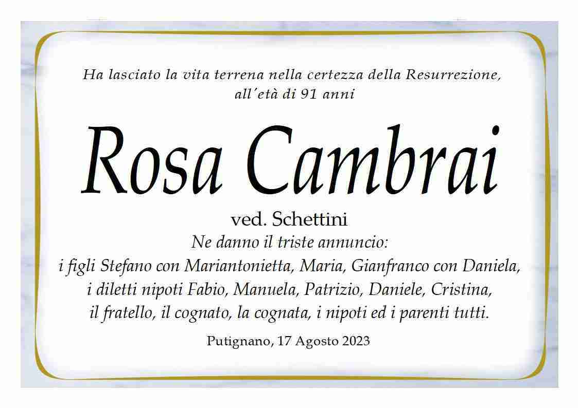 Rosa Cambrai