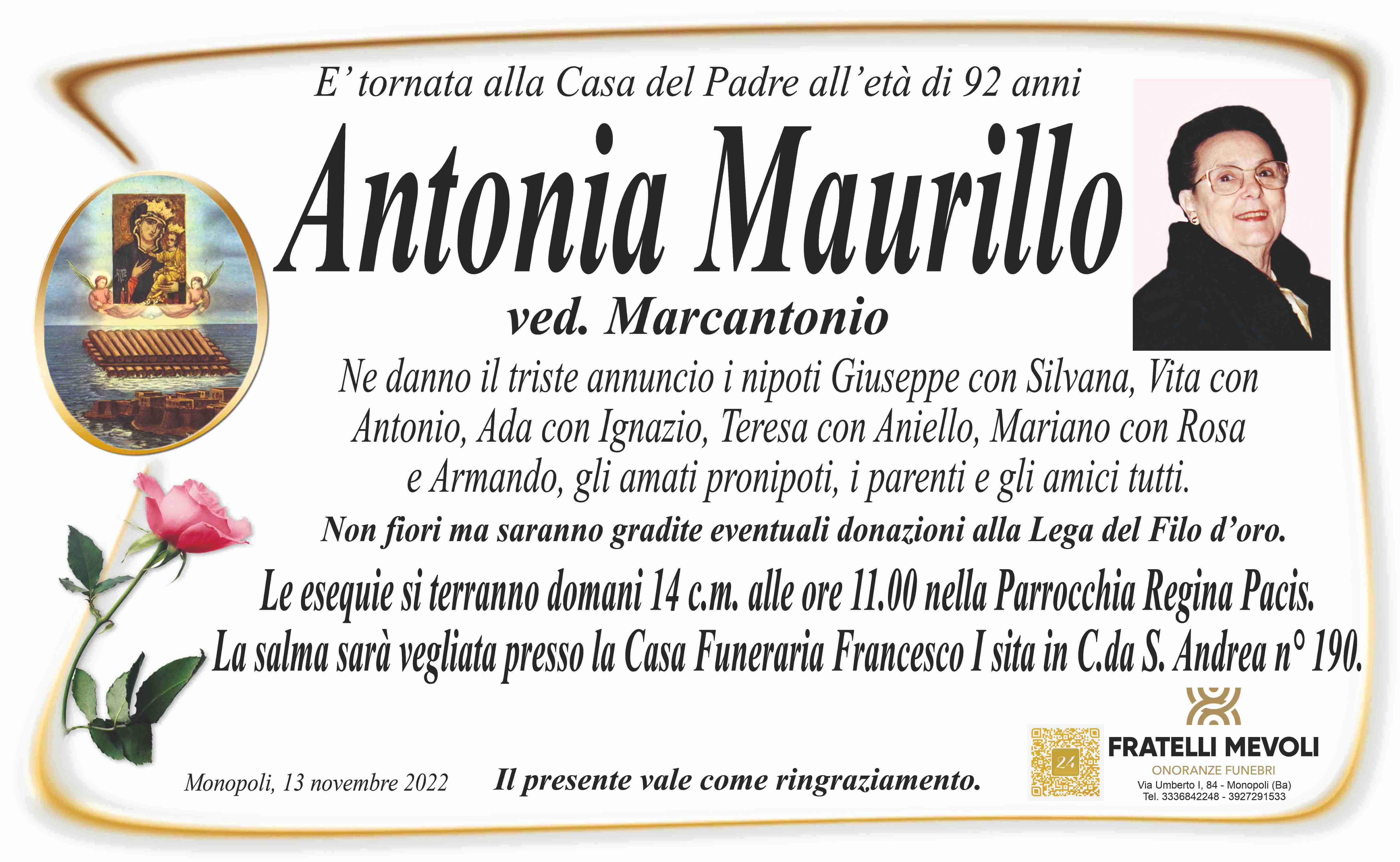 Antonia Maurillo