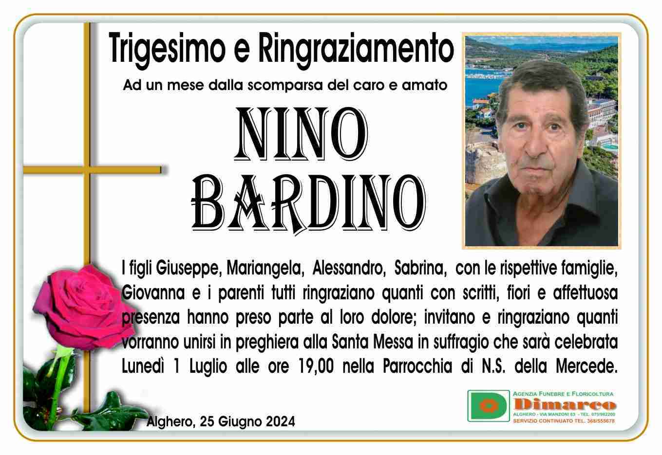 Nino Bardino