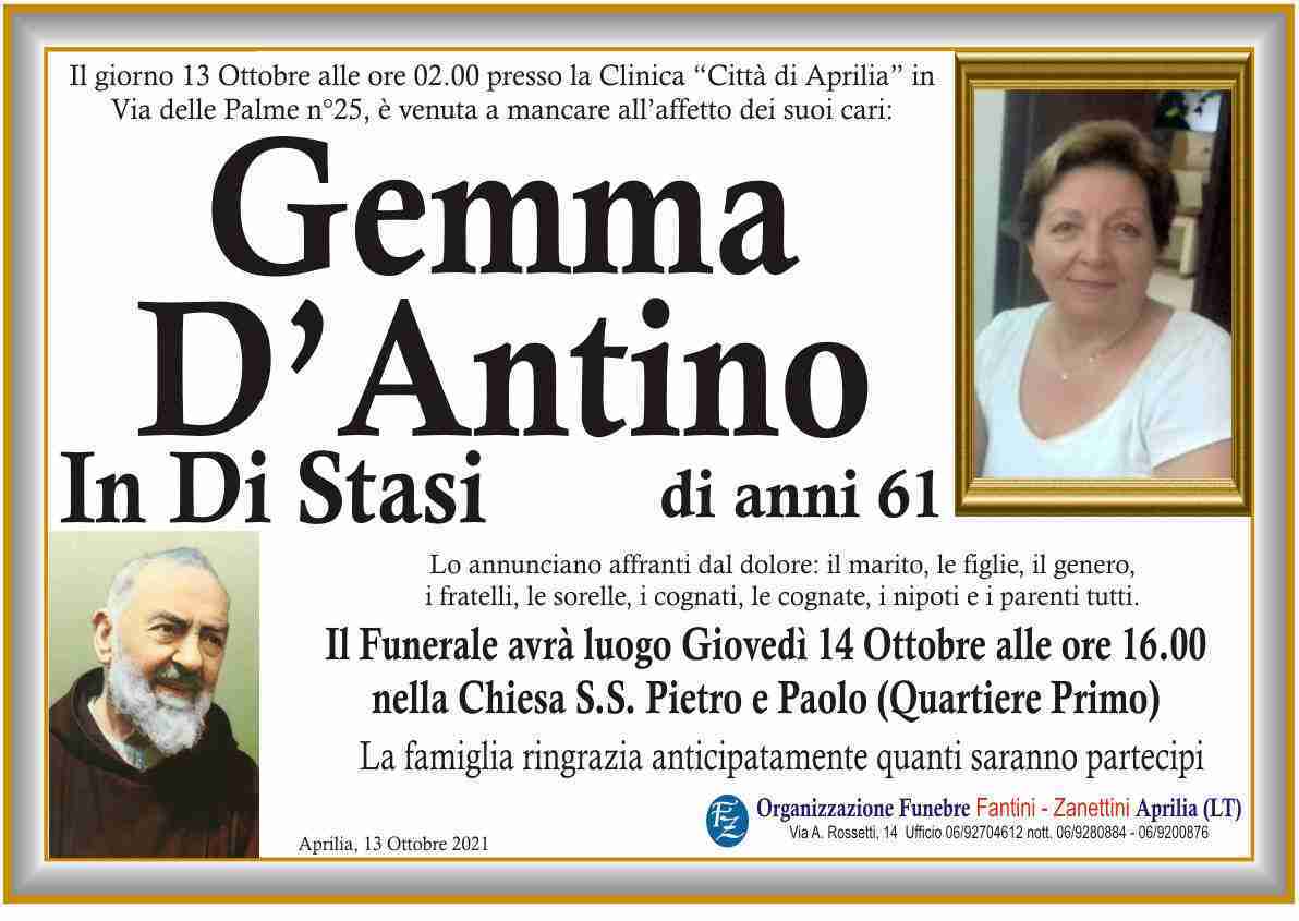 Gemma D'Antino