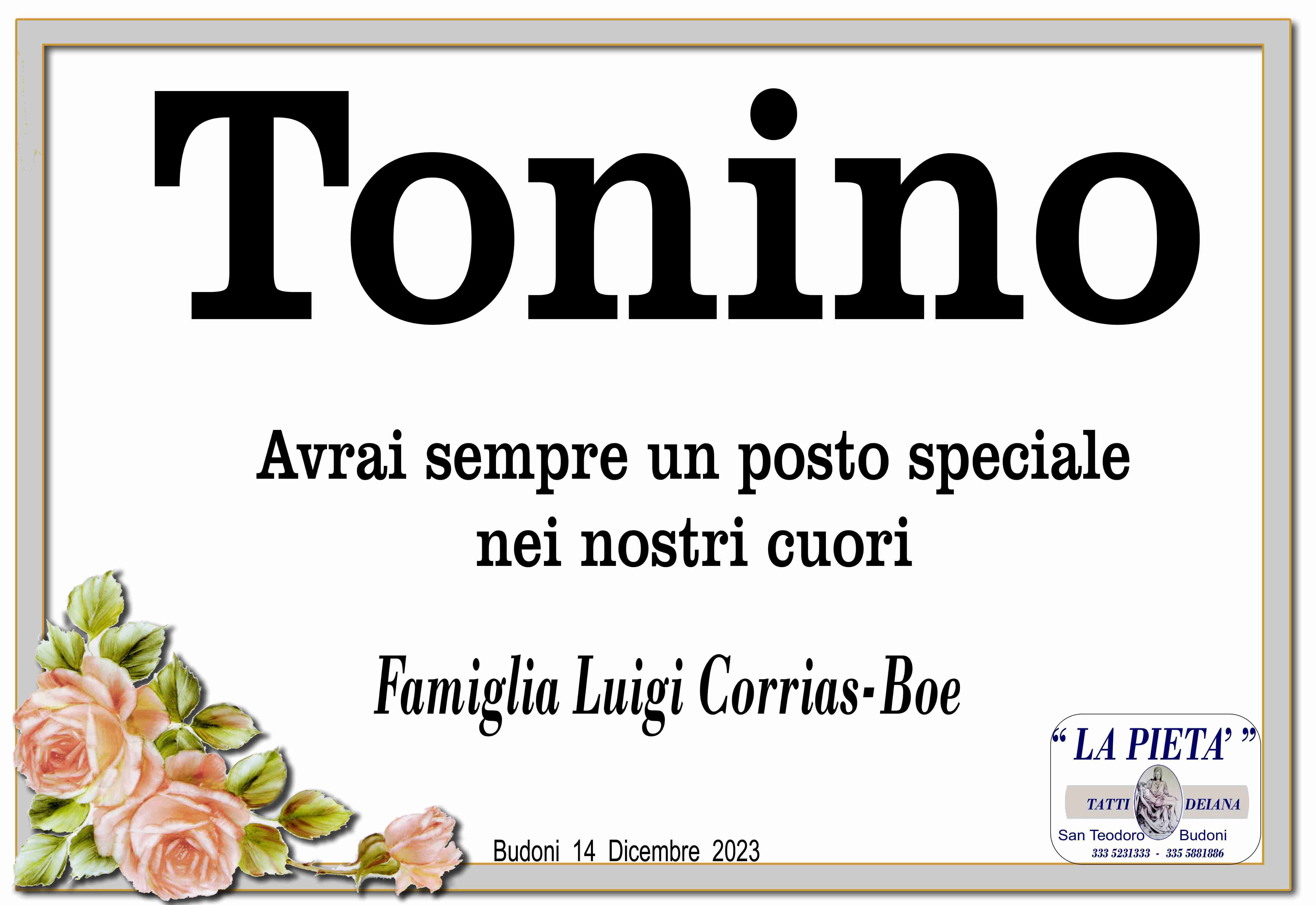 Tonino Bacciu