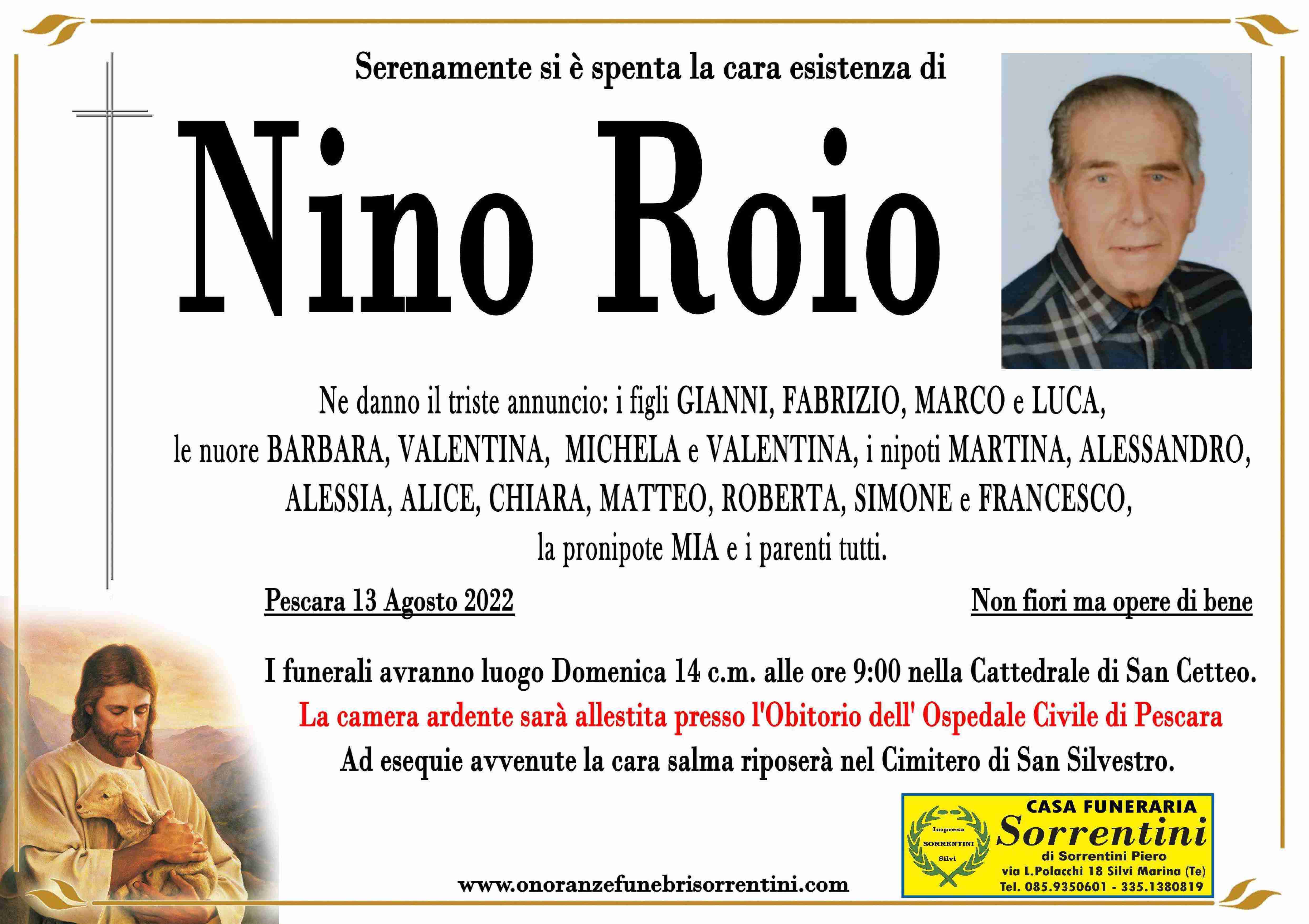 Nino Roio