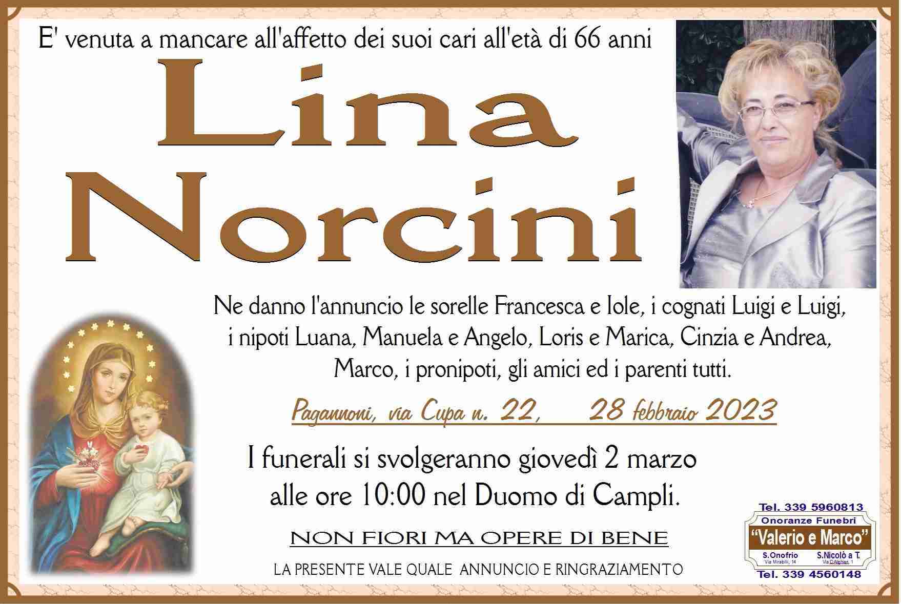 Lina Norcini