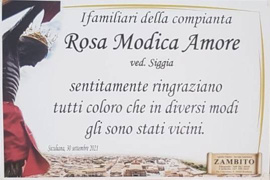 Rosa Modica Amore