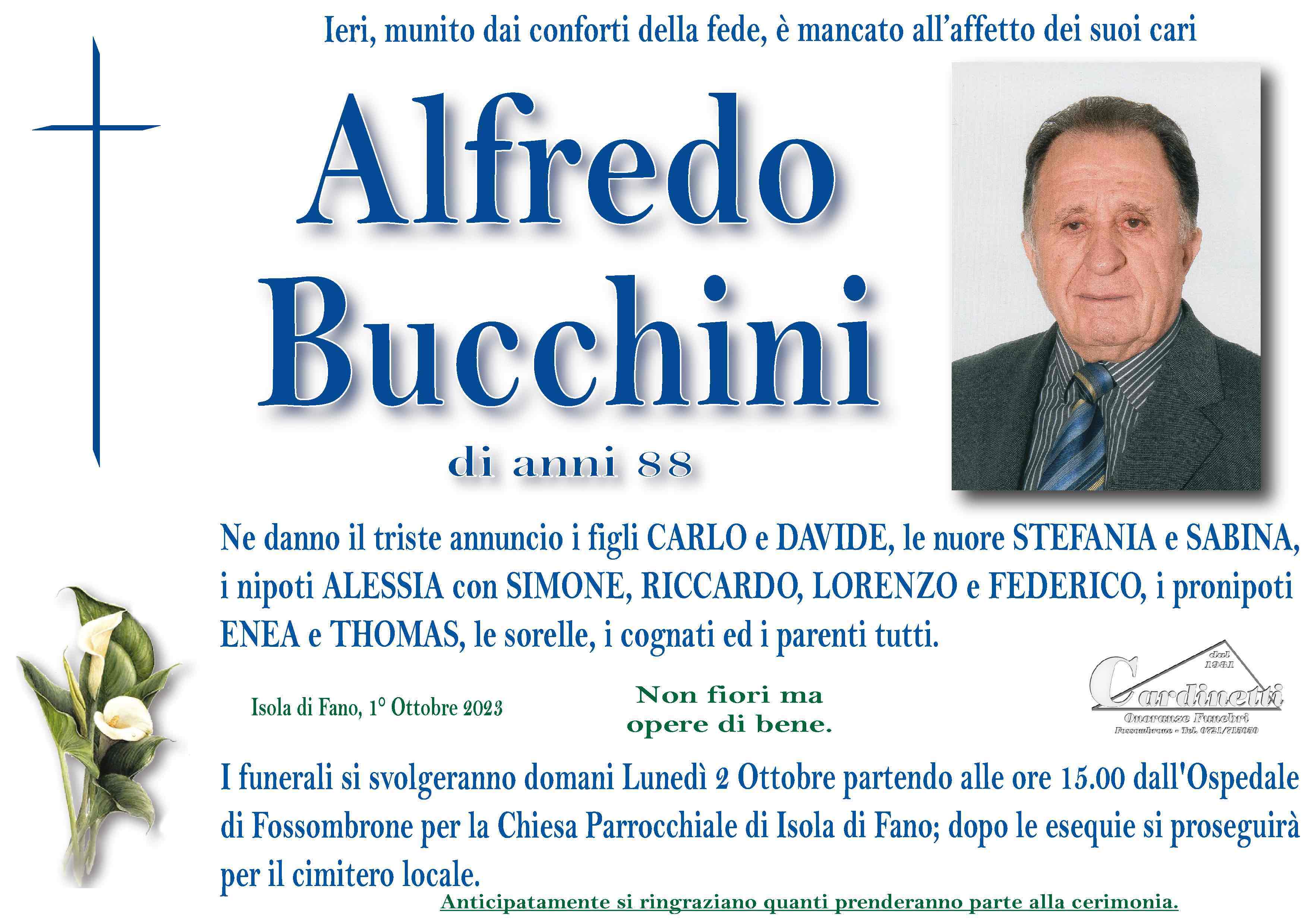 Alfredo Bucchini