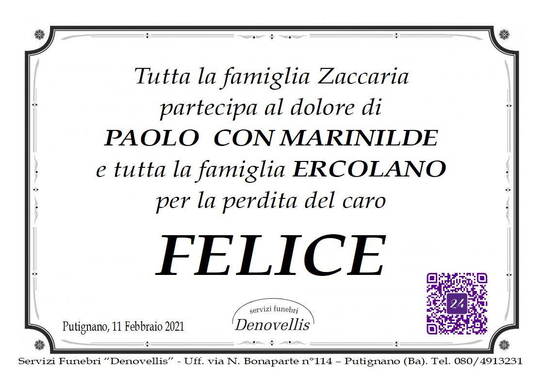 Felice Ercolano (P1)