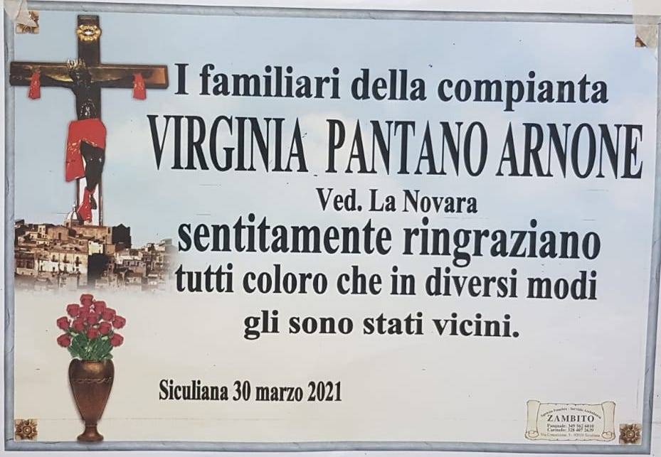 Virginia Pantano Arnone