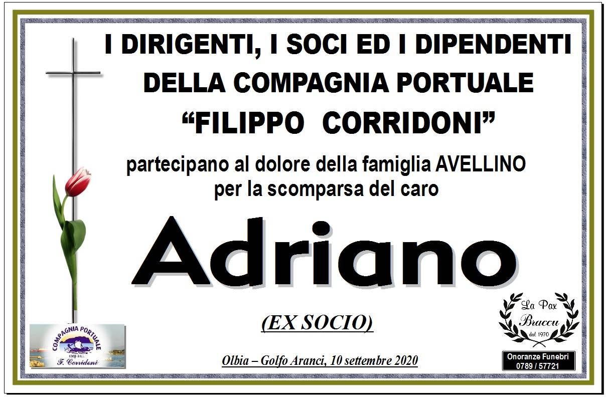Adriano Avellino (P1)