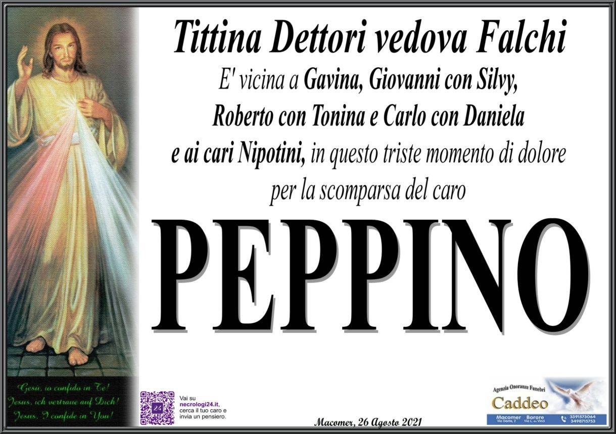 Peppino Bitti (P3)