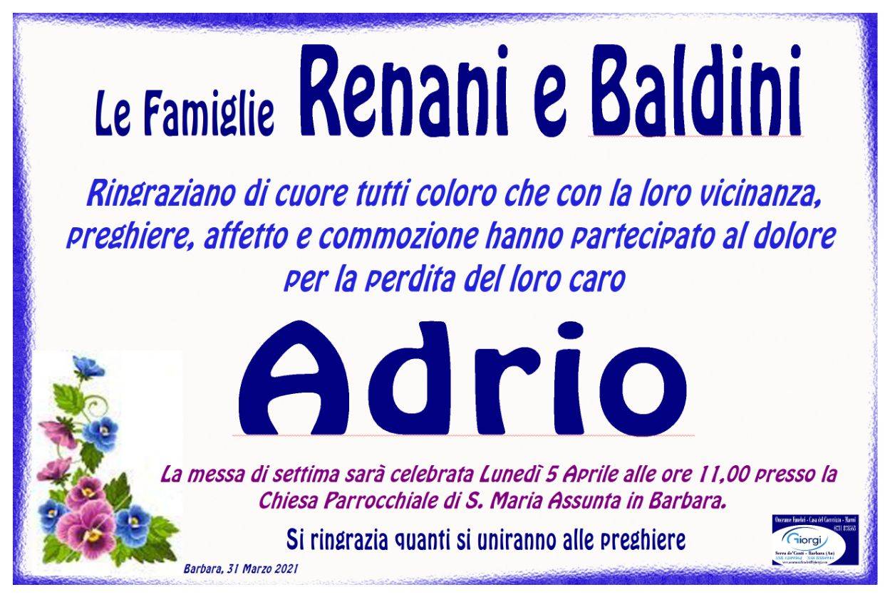 Adrio Renani