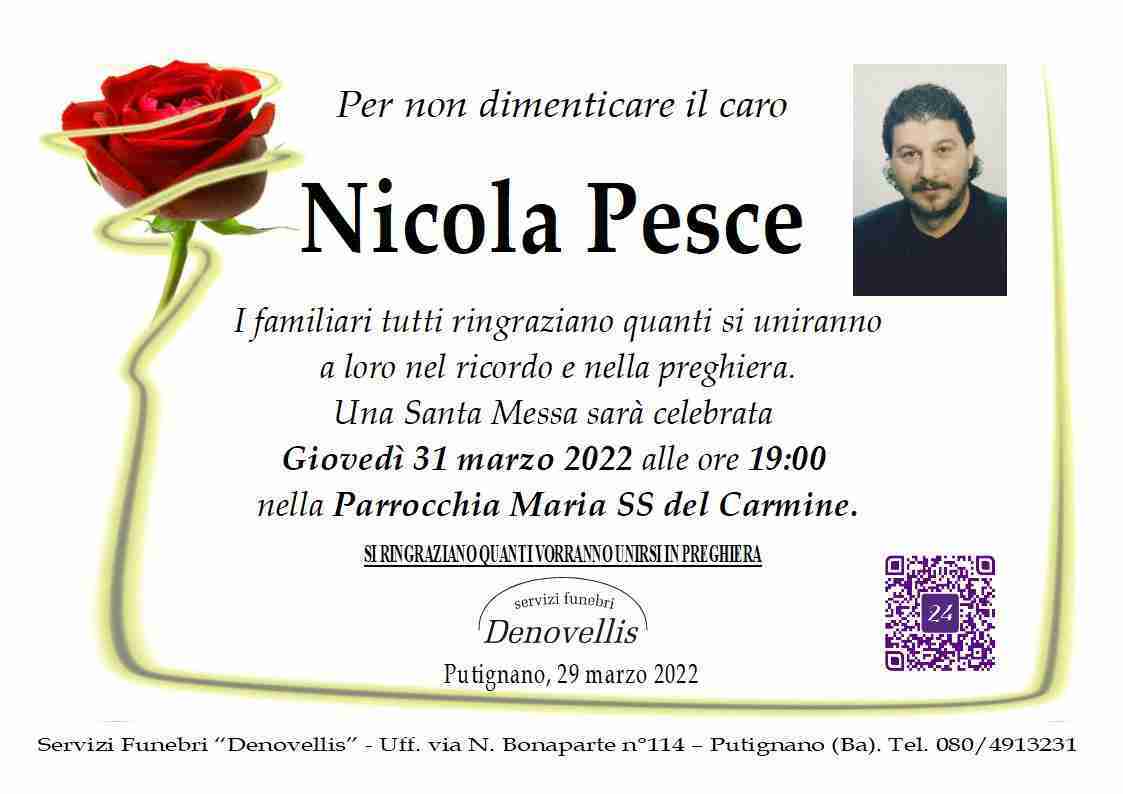 Nicola Pesce