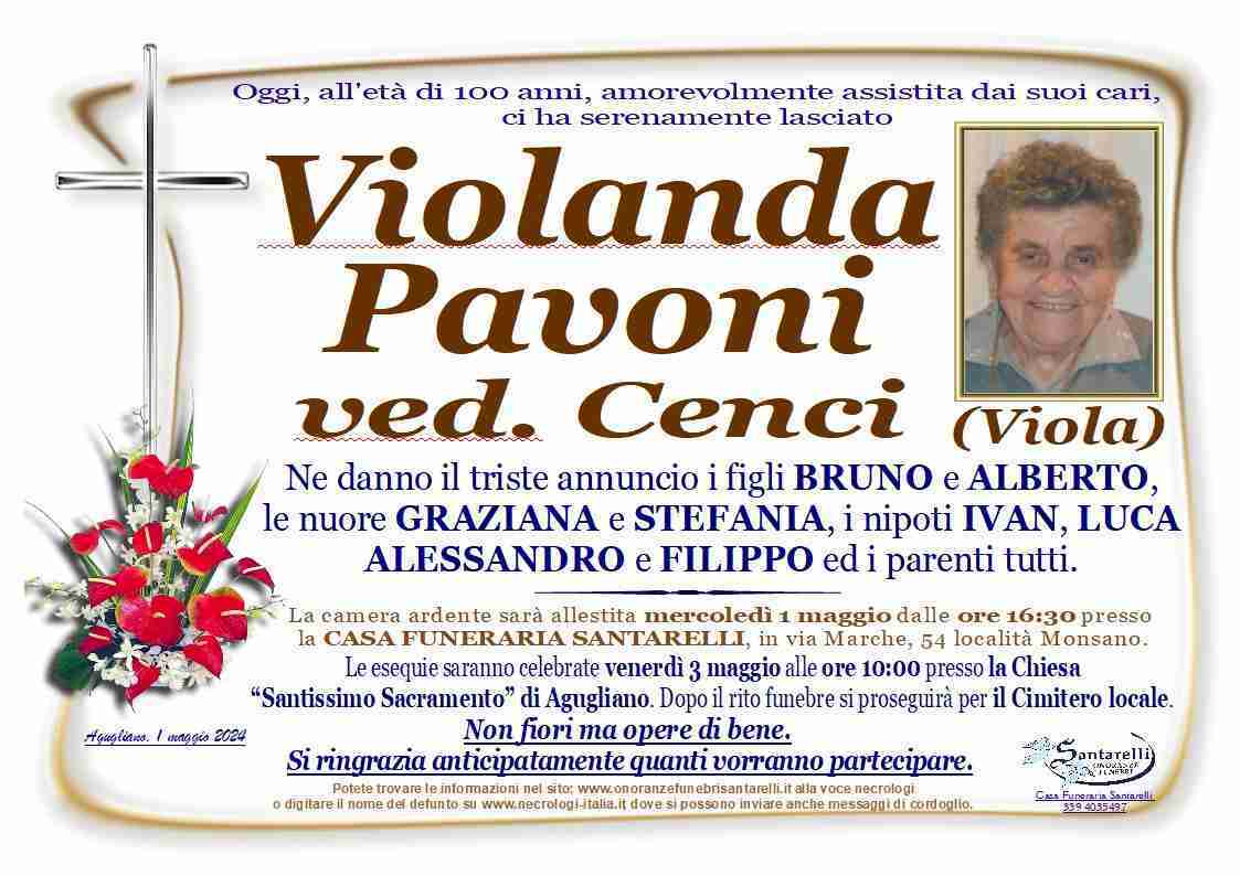 Violanda Pavoni (Viola)