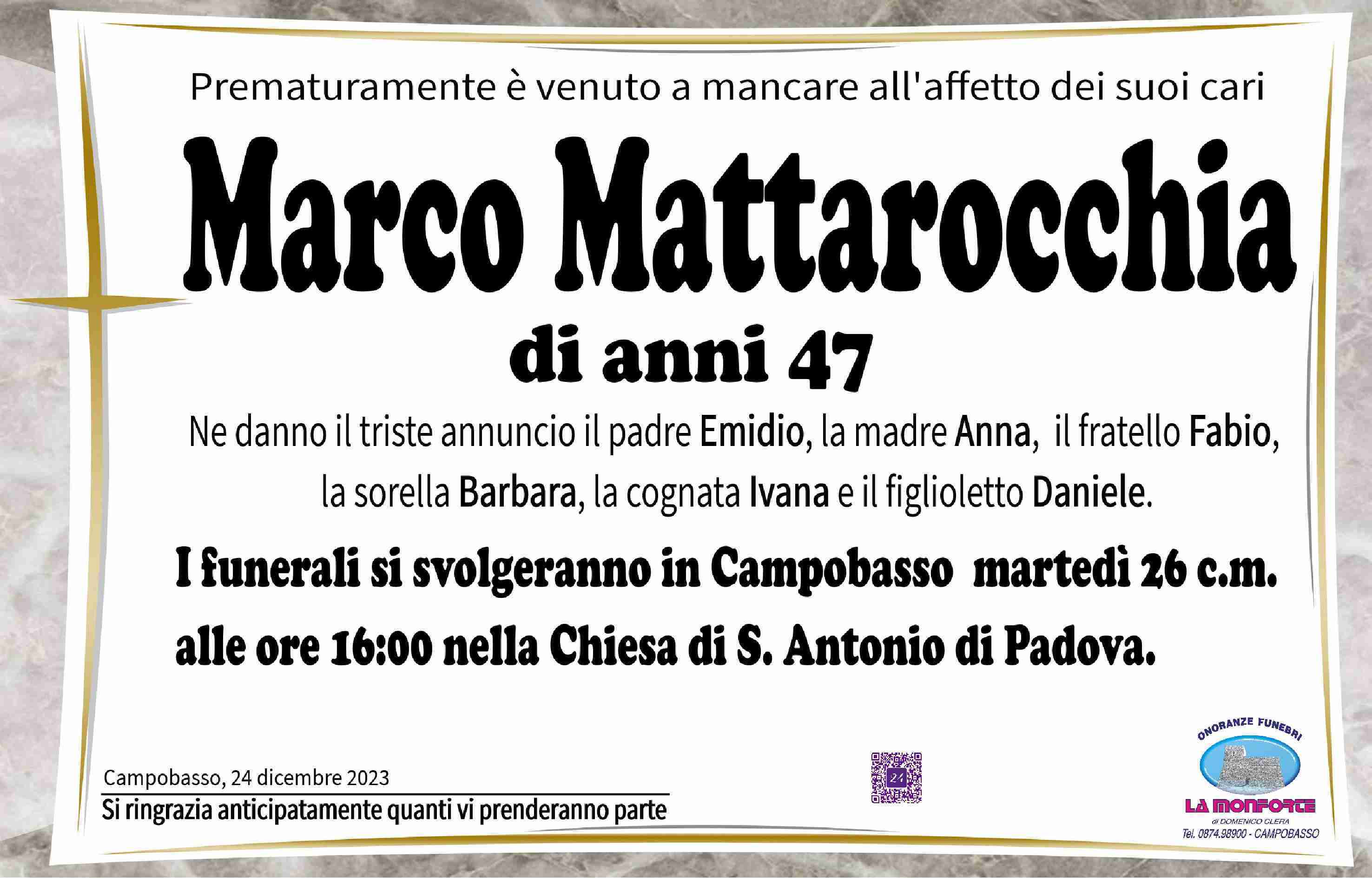 Marco Mattarocchia