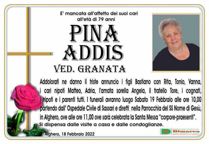 Pina Addis