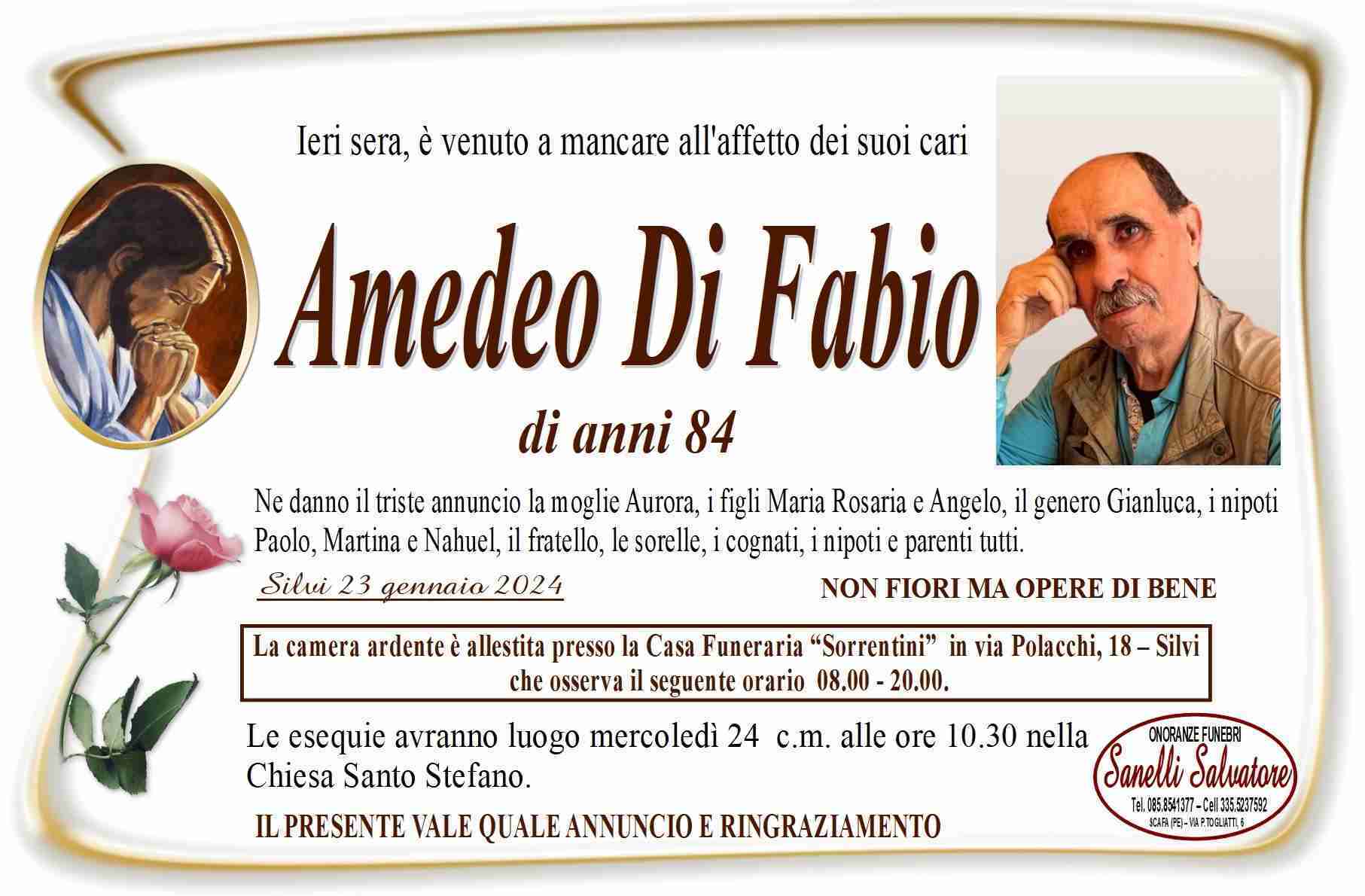 Amedeo Di Fabio