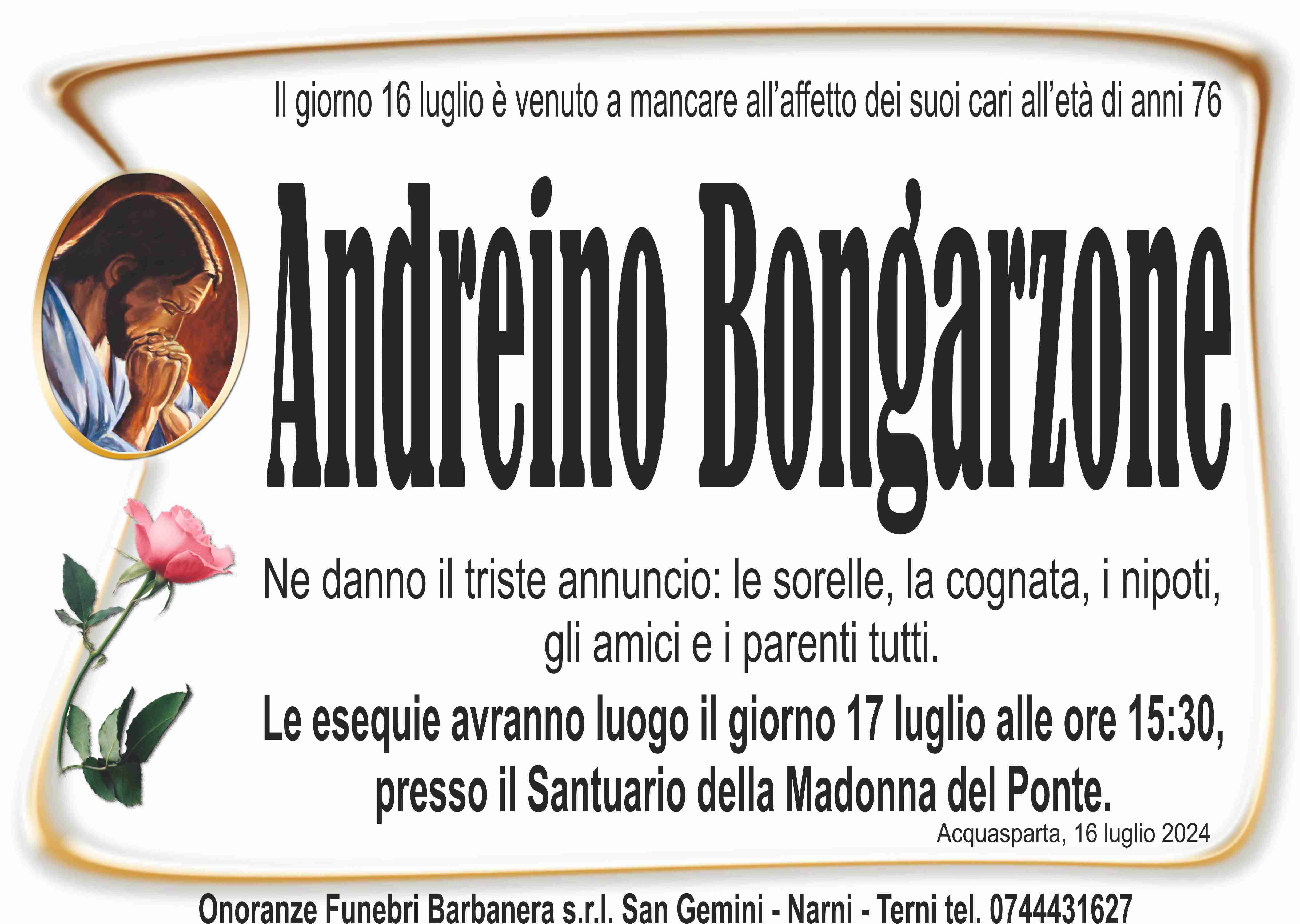 Andreino Bongarzone
